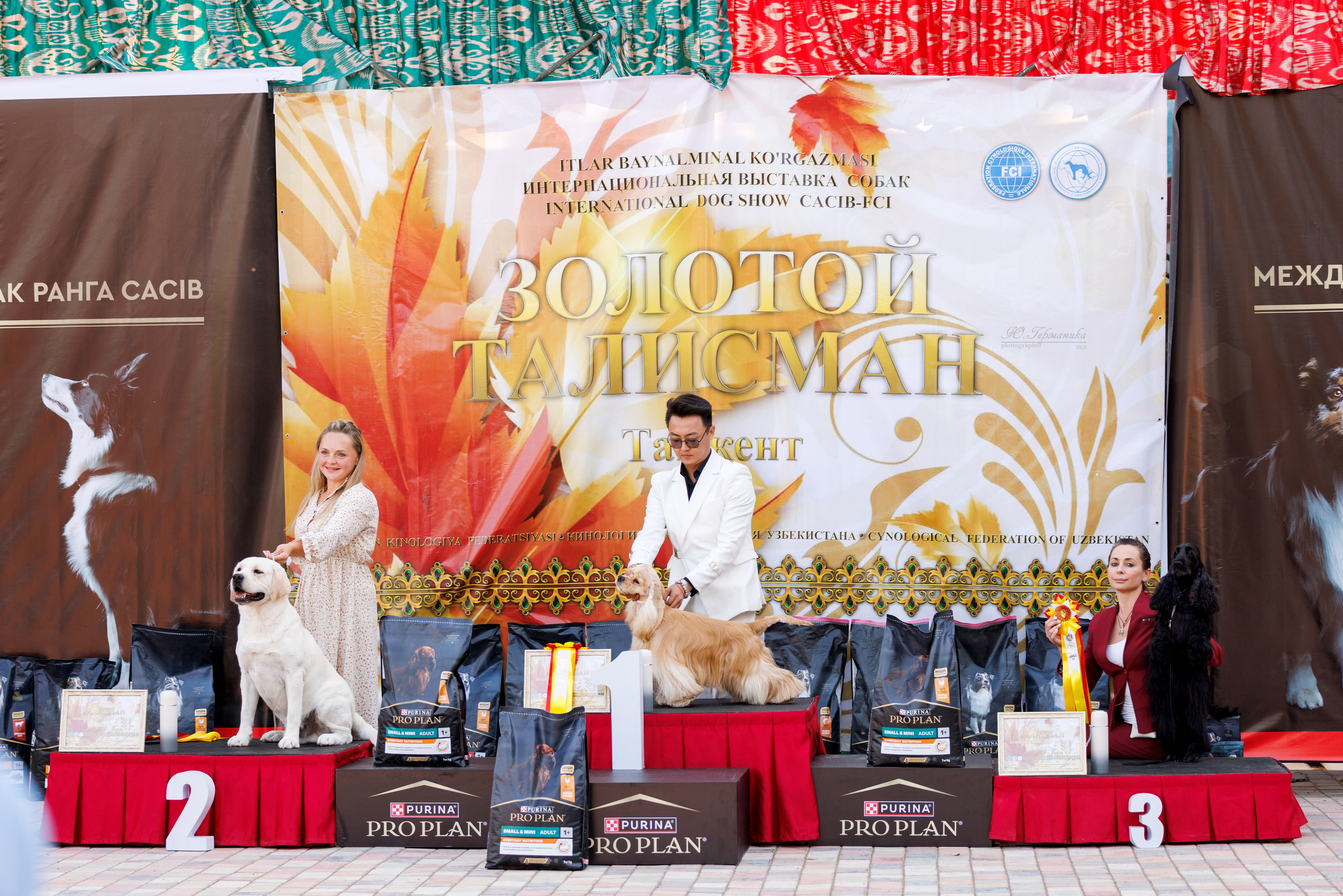 Ташкент 3хCACIB 3-5.10.2025. Фотограф-анималист Юлия Германика