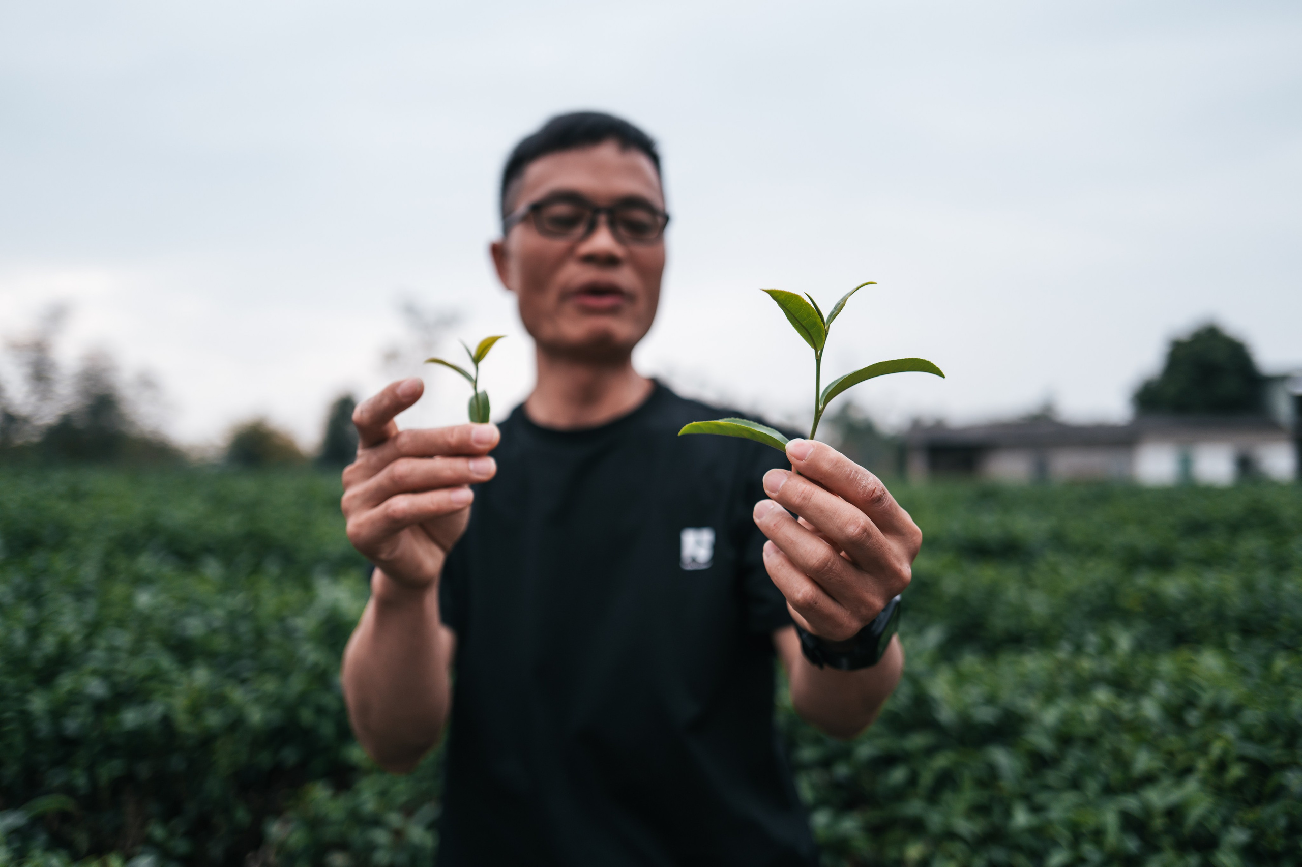 China/Китай. @tomrus: Рустам Шагиморданов — фотограф