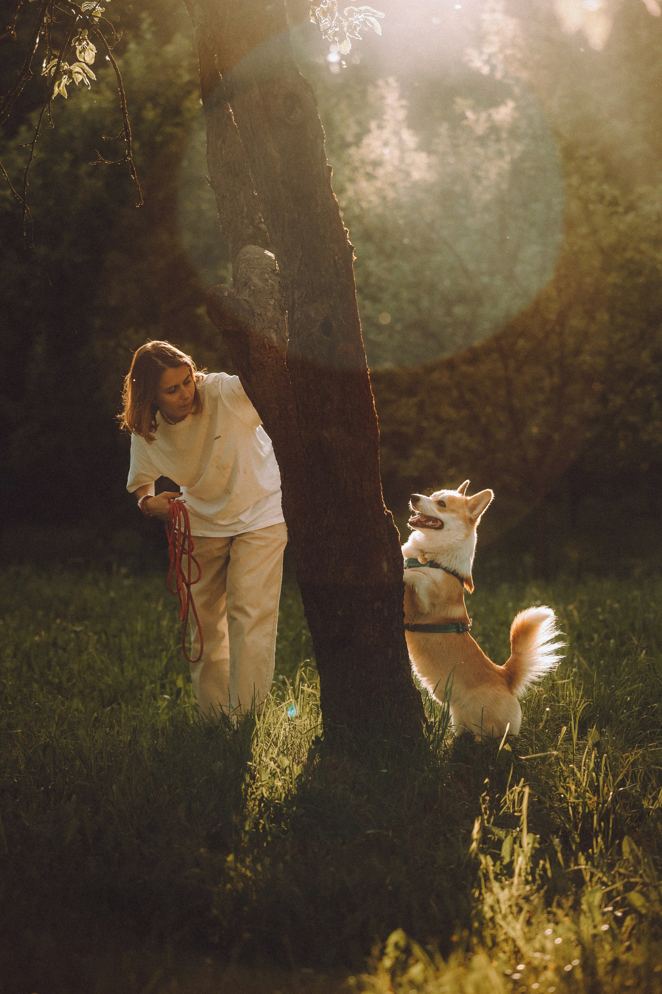 Вирджик и его семья