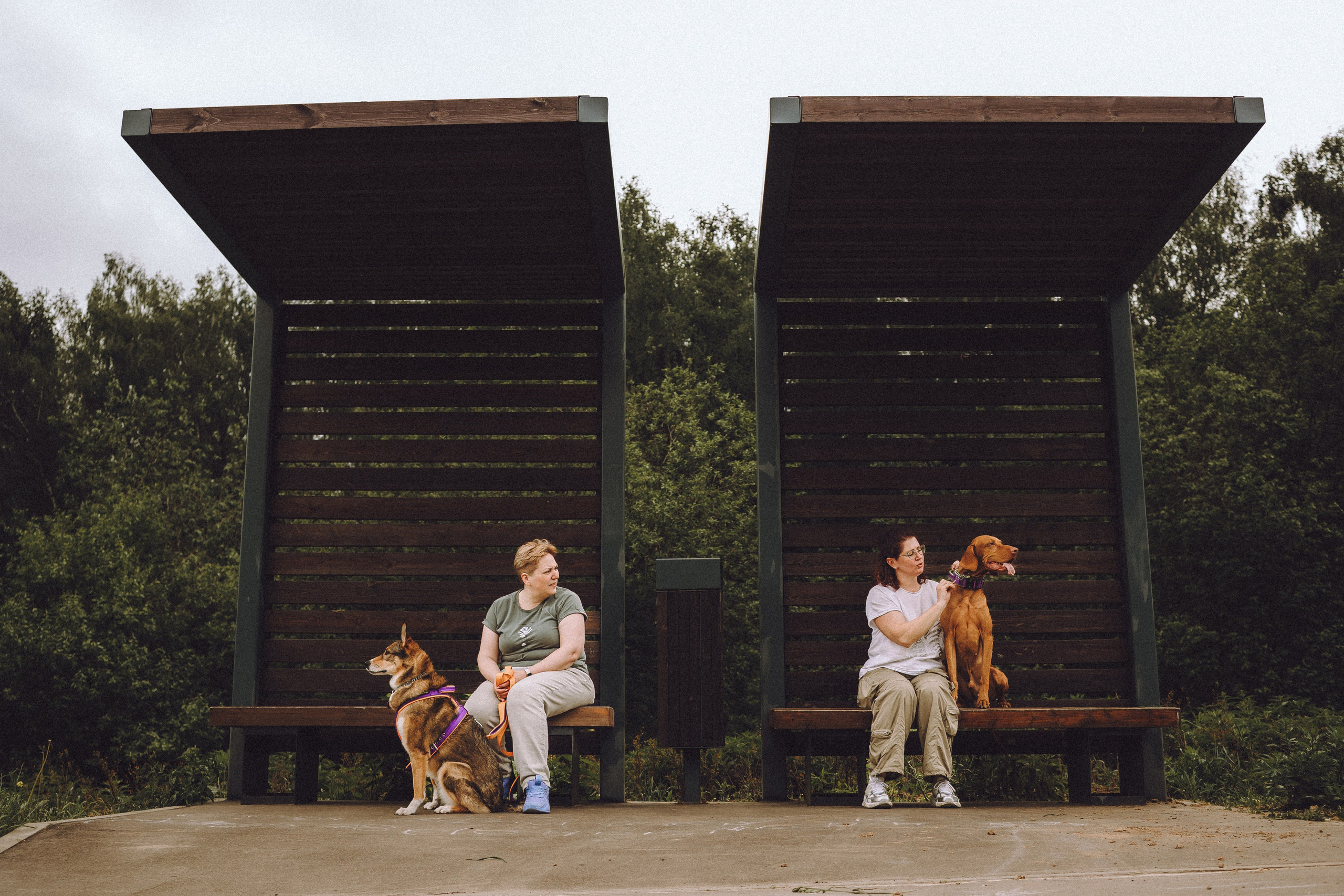 Груша, Данни, Фунтик и их семья