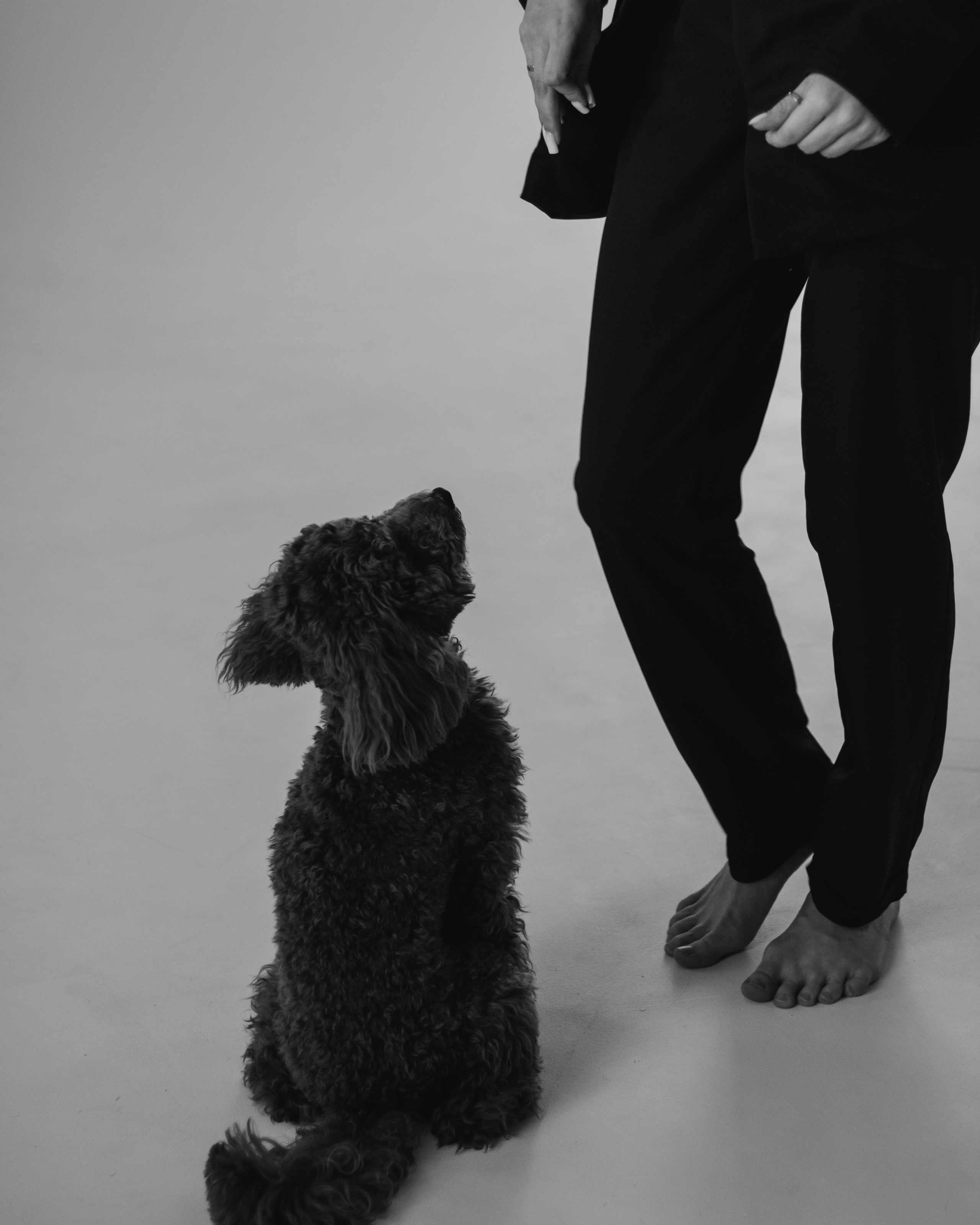 Пушистая история Гречки. Семейный фотограф в Нижнем Новгороде