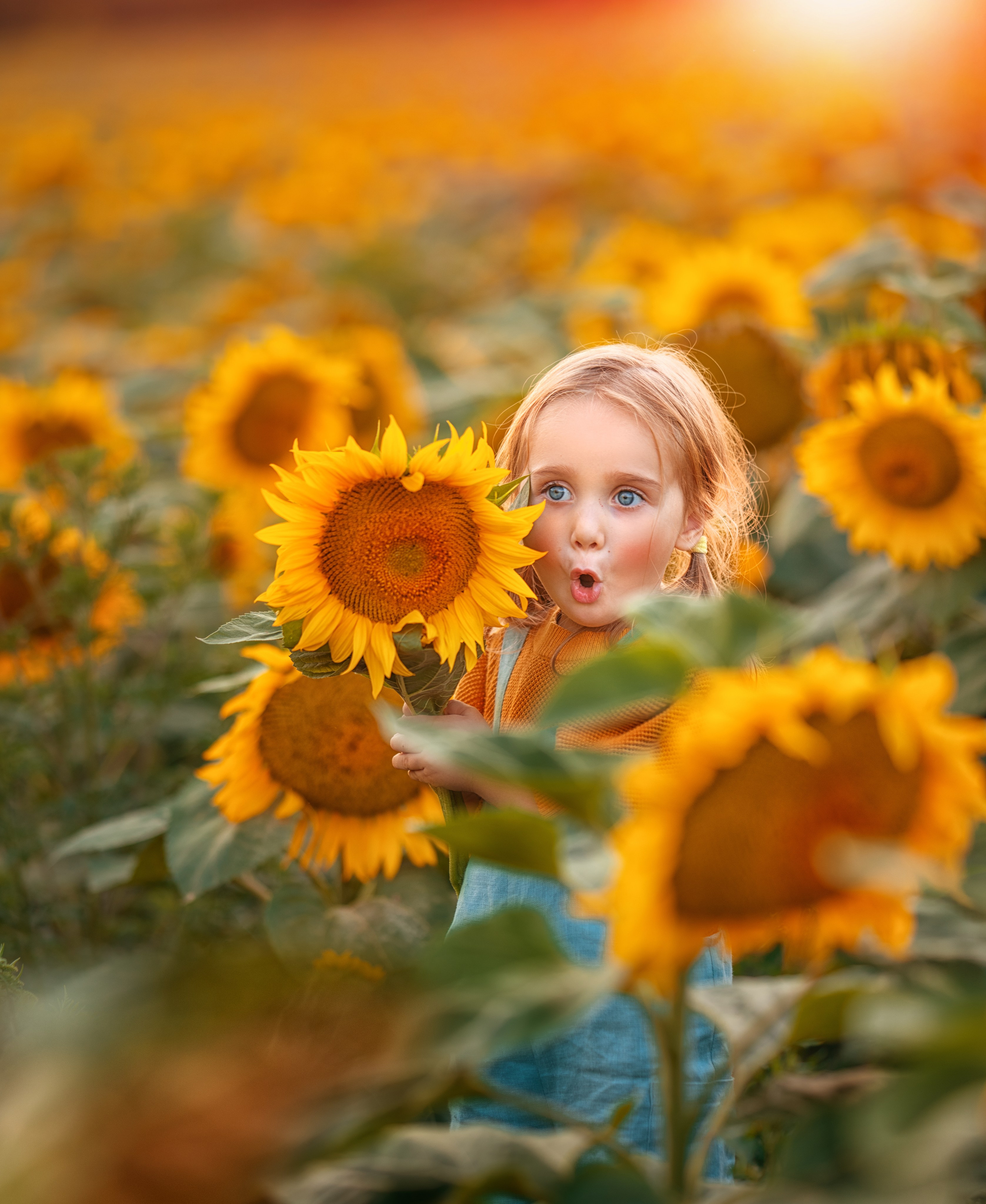 Портфолио. ОБУЧЕНИЕ ФОТОГРАФИИ И РЕТУШИ