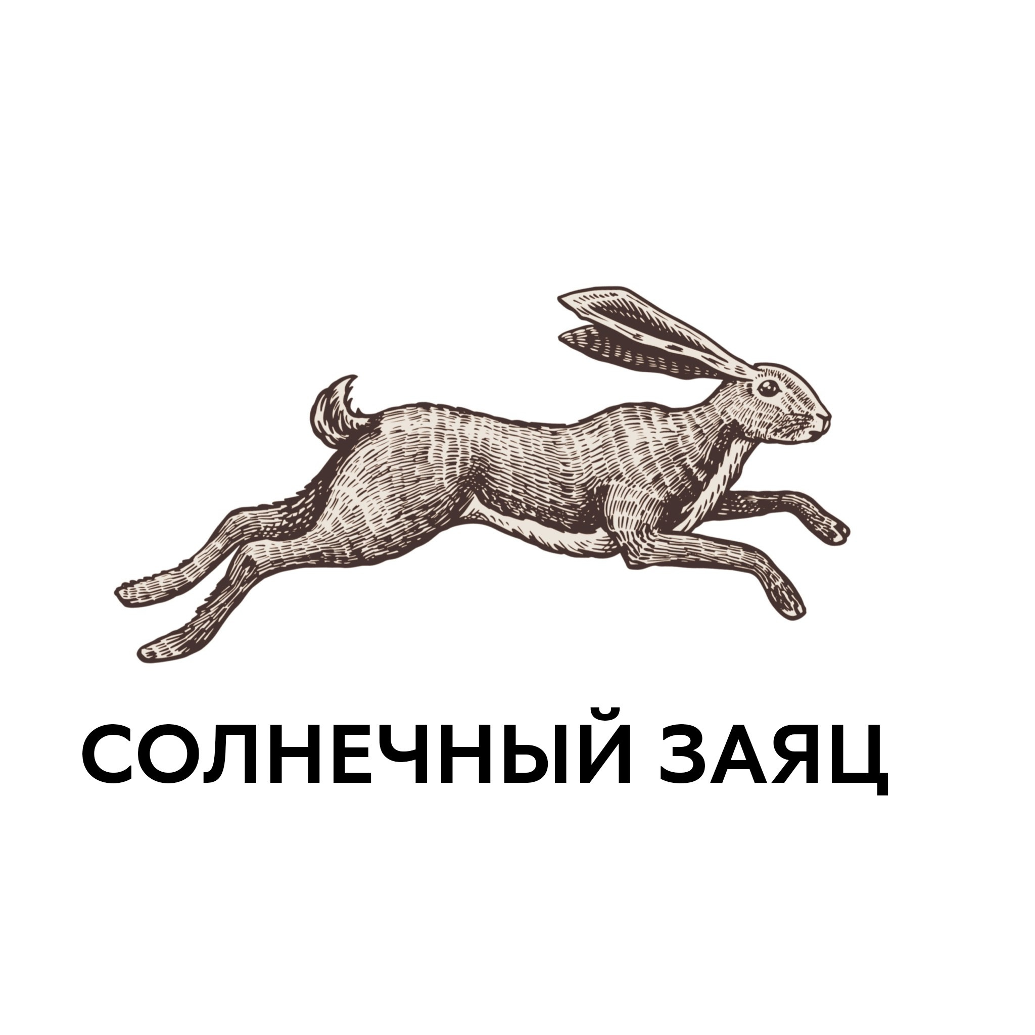 Предметный и фуд фотограф в г. Белгород