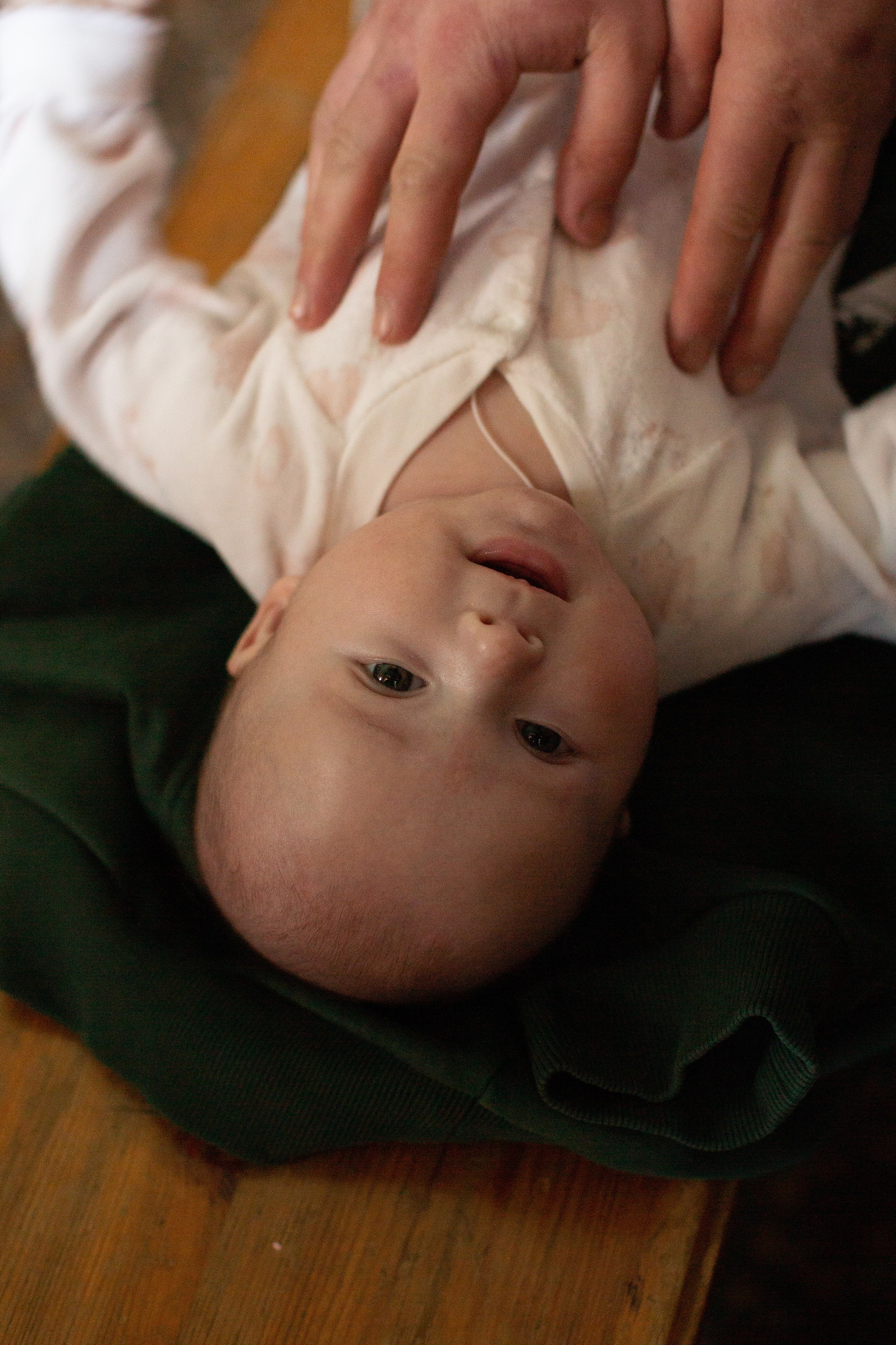 Миша. Фотограф в Москве и Московской области Голубева Анастасия