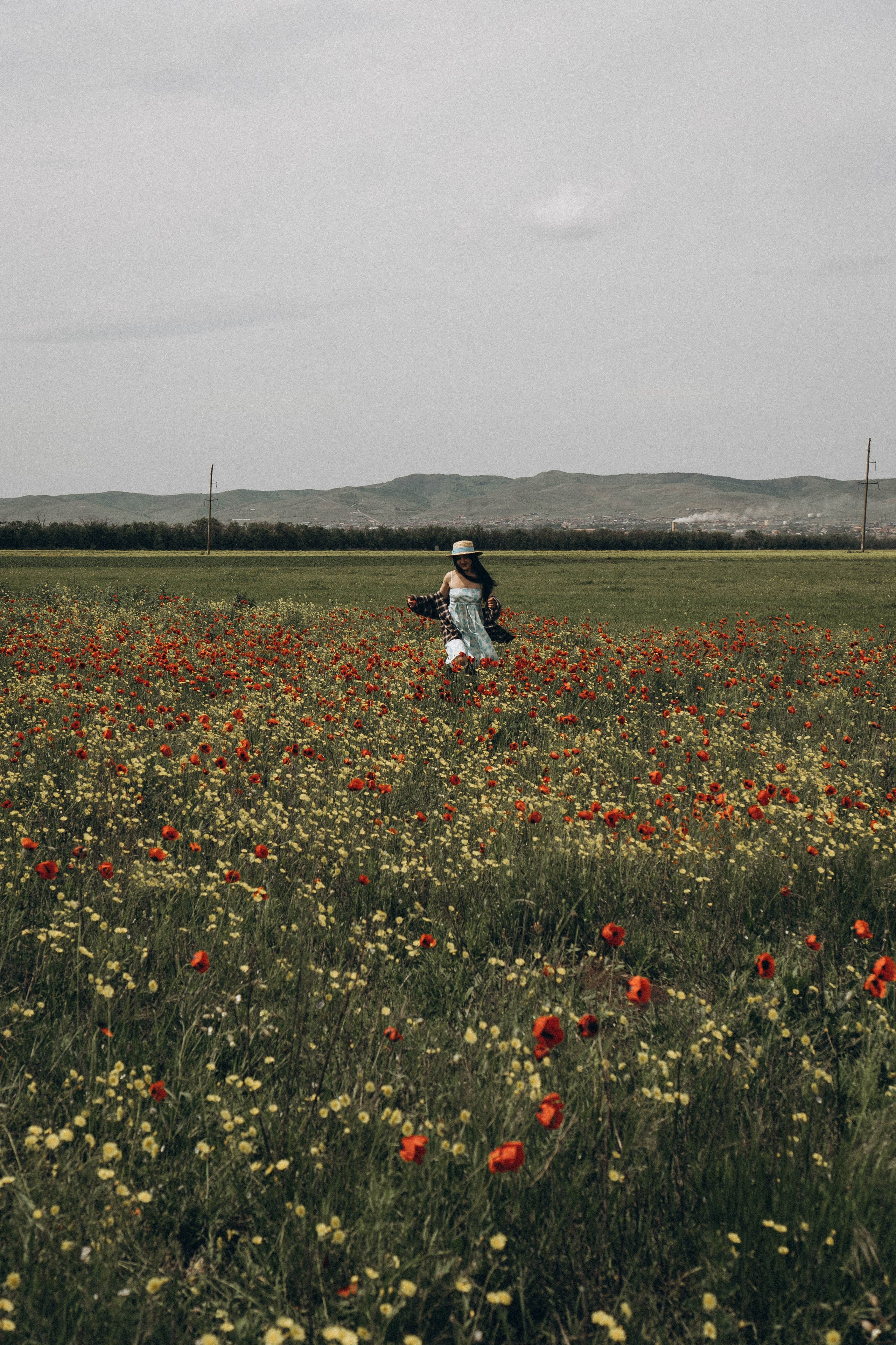 Цветочная поляна. Профессиональный фотограф, Санкт-Петербург — Виктория Богомолова