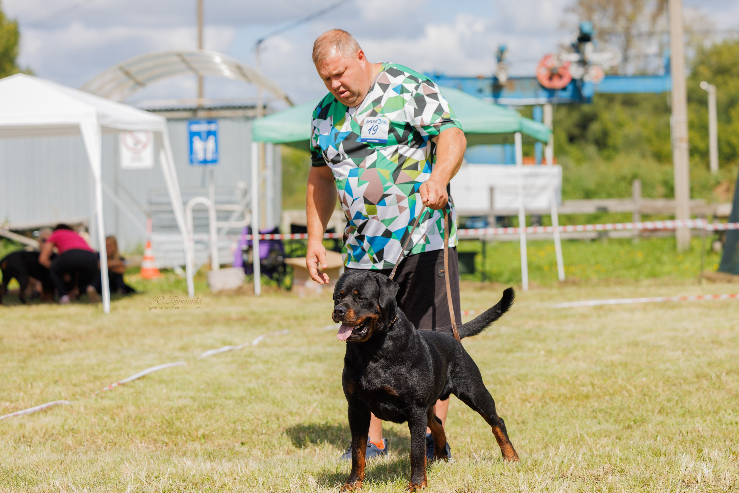 Рязань-Ховрино 10-11.08.2024 3хмоно ротвейлеров. Фотограф-анималист Юлия Германика