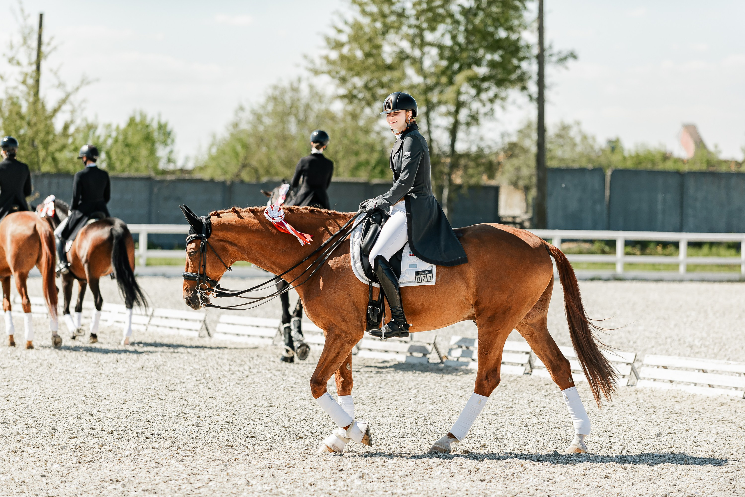 РЕПОРТАЖ МКК ВОЛЬТ «LA TULIPS». Конный фотограф Куракина Дарья • Фотосессии с лошадьми