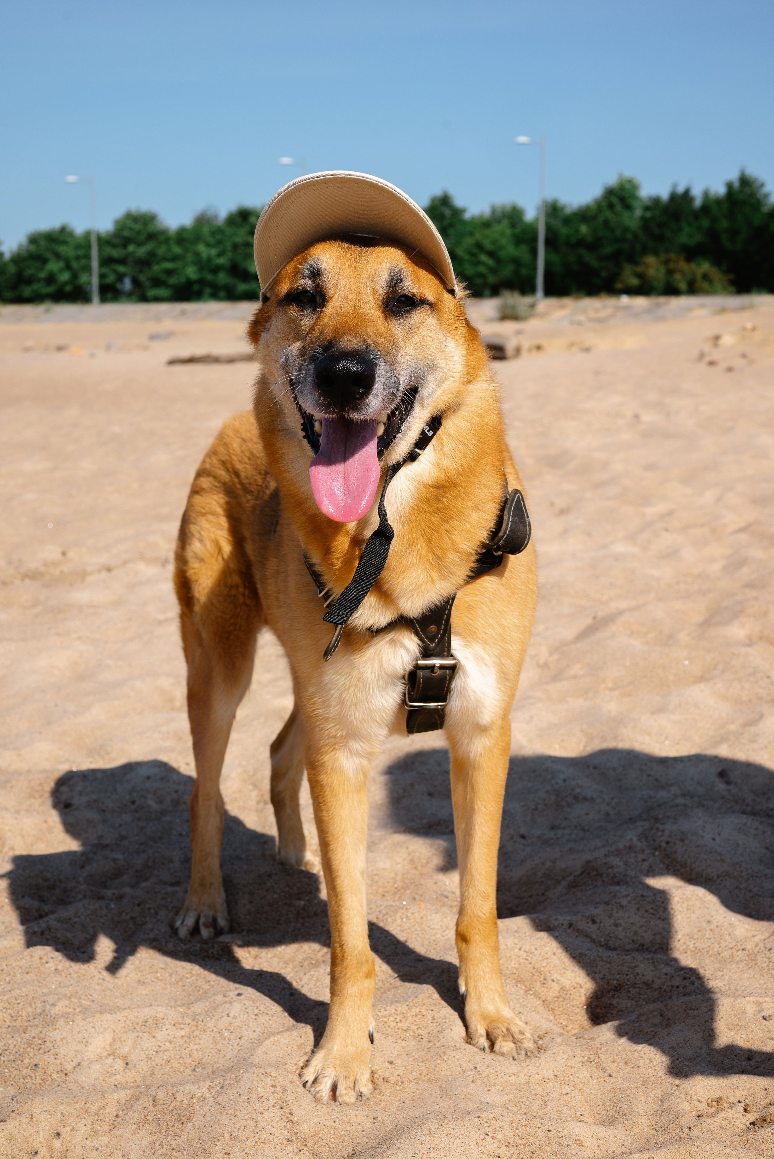 Лавстори. Дарья Медведева