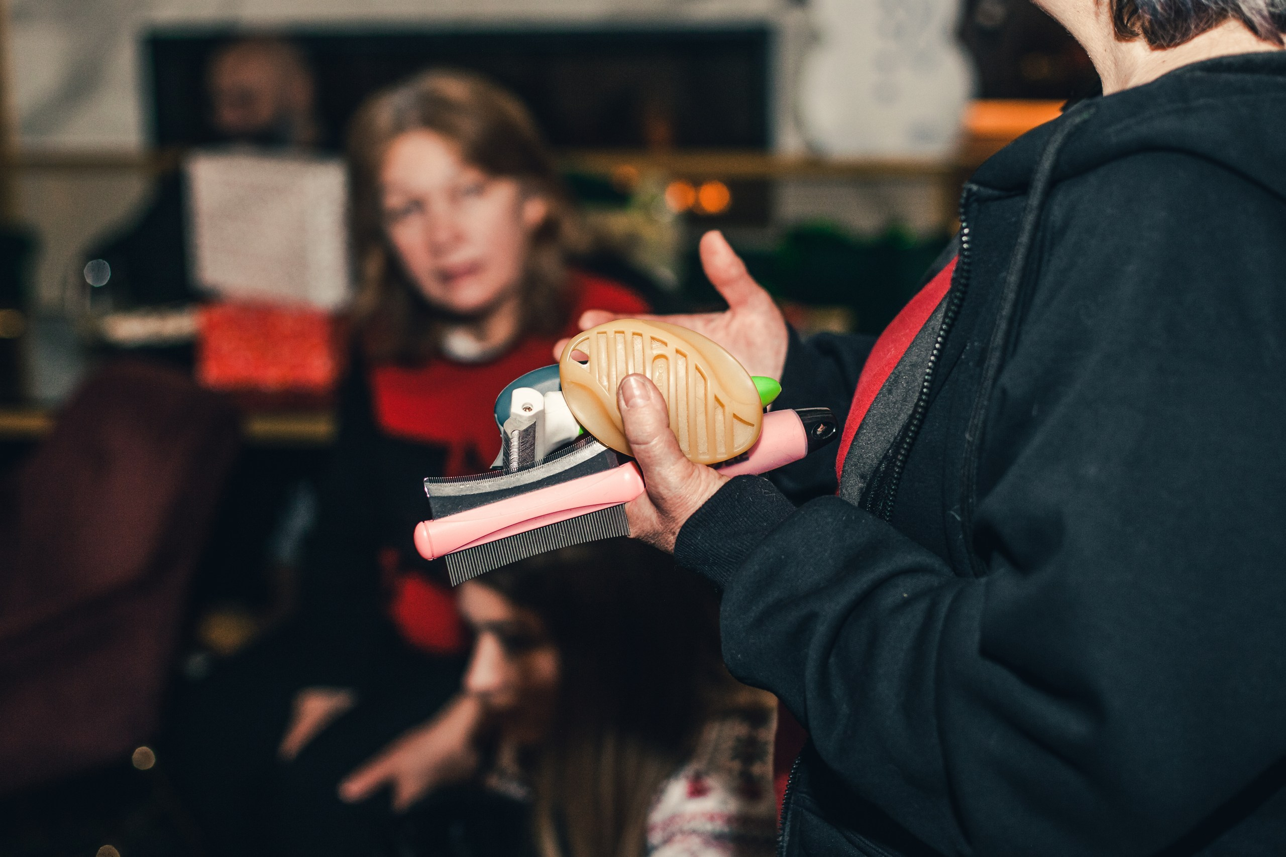 Мопсовстреча 02.12.2023. Фотограф-анималист Татьяна Степанова