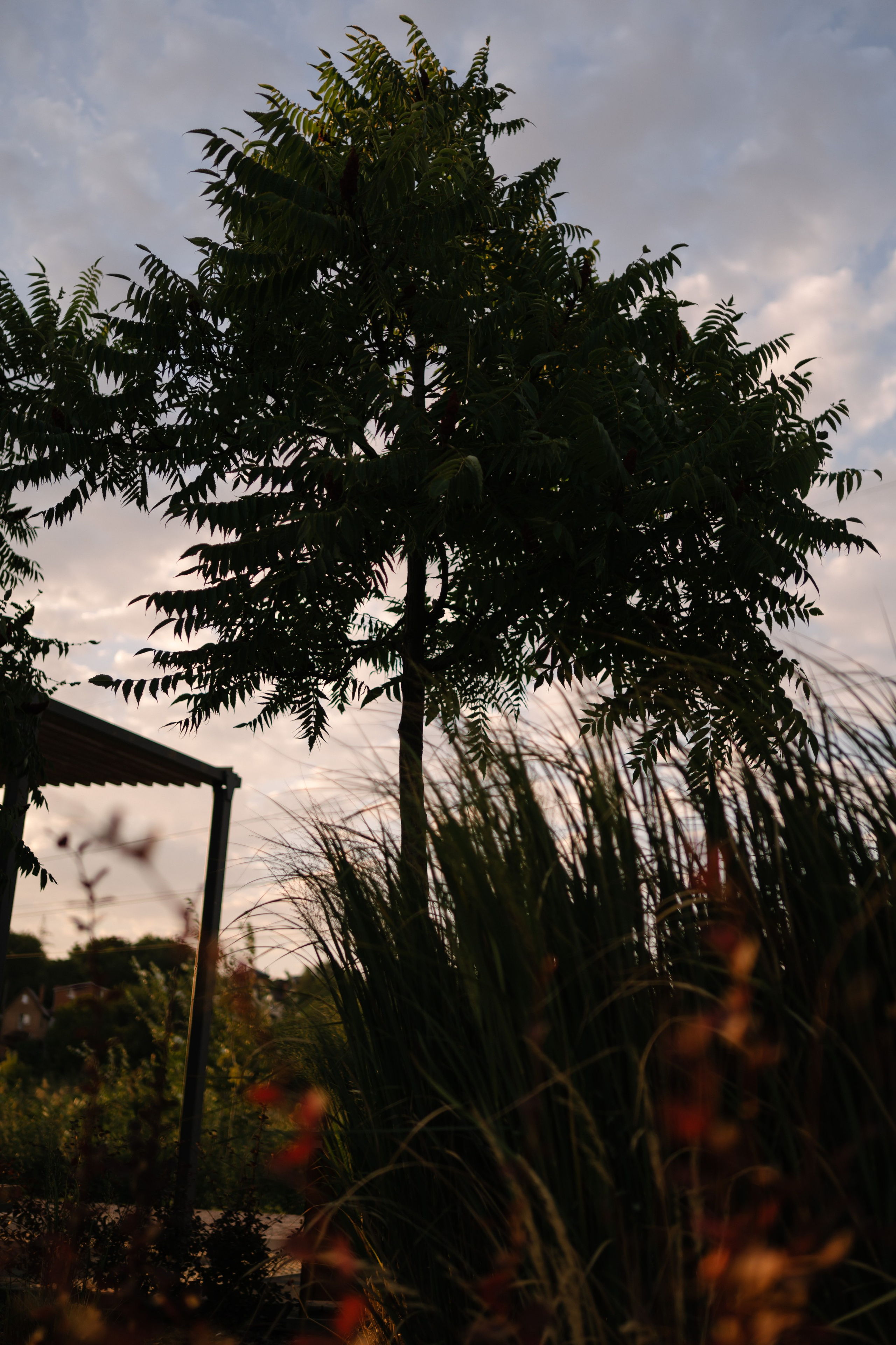 Локации для школьных съемок. Семейный фотограф и видеограф Ростов-на-Дону