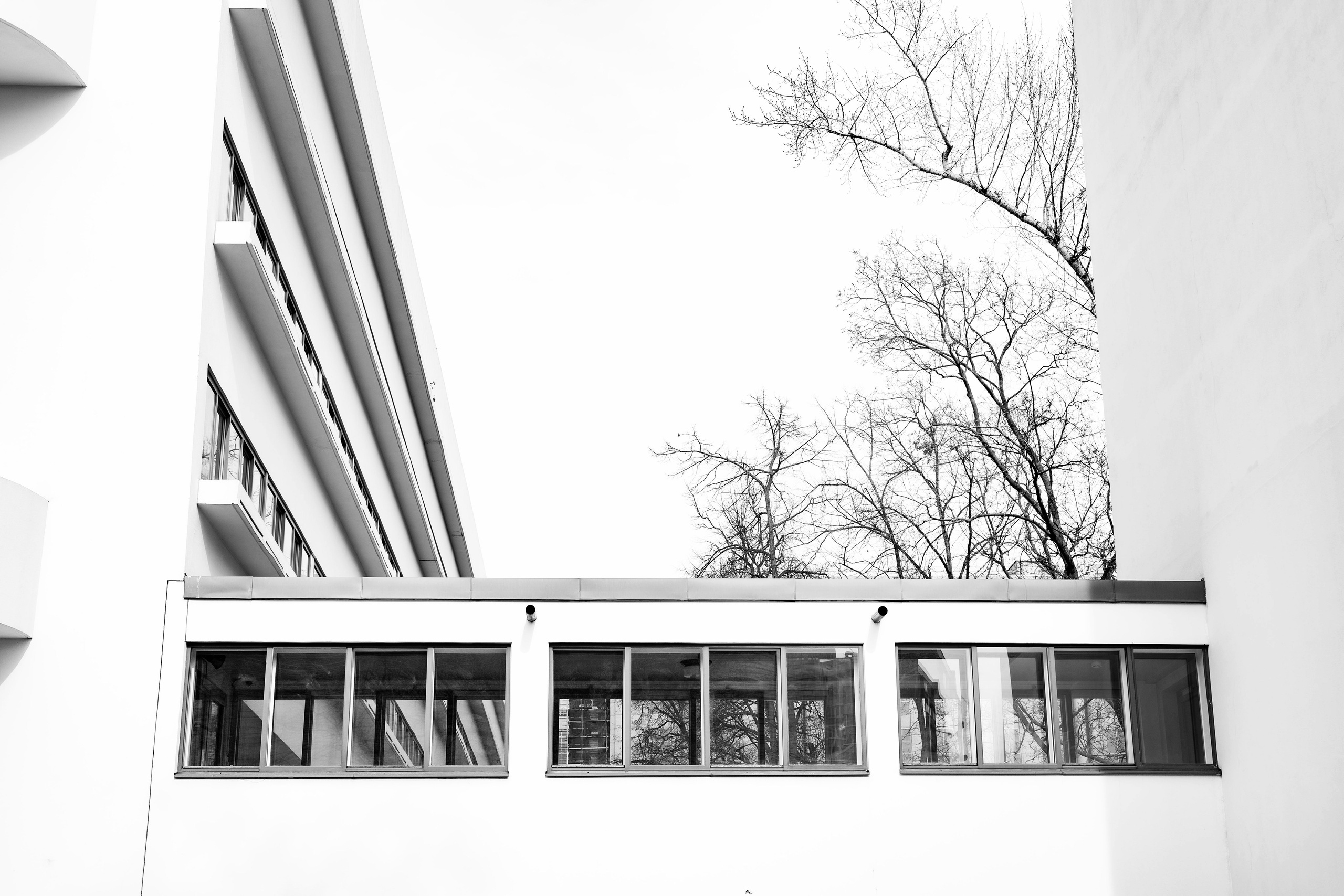 Portfolio. Ibrahimova Aynur Photography