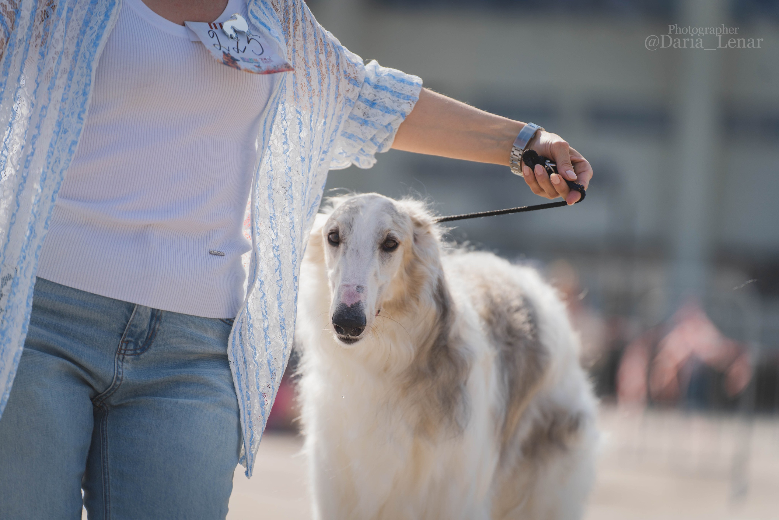 Выставки собак. Фотограф в Москве Ленарская Дарья