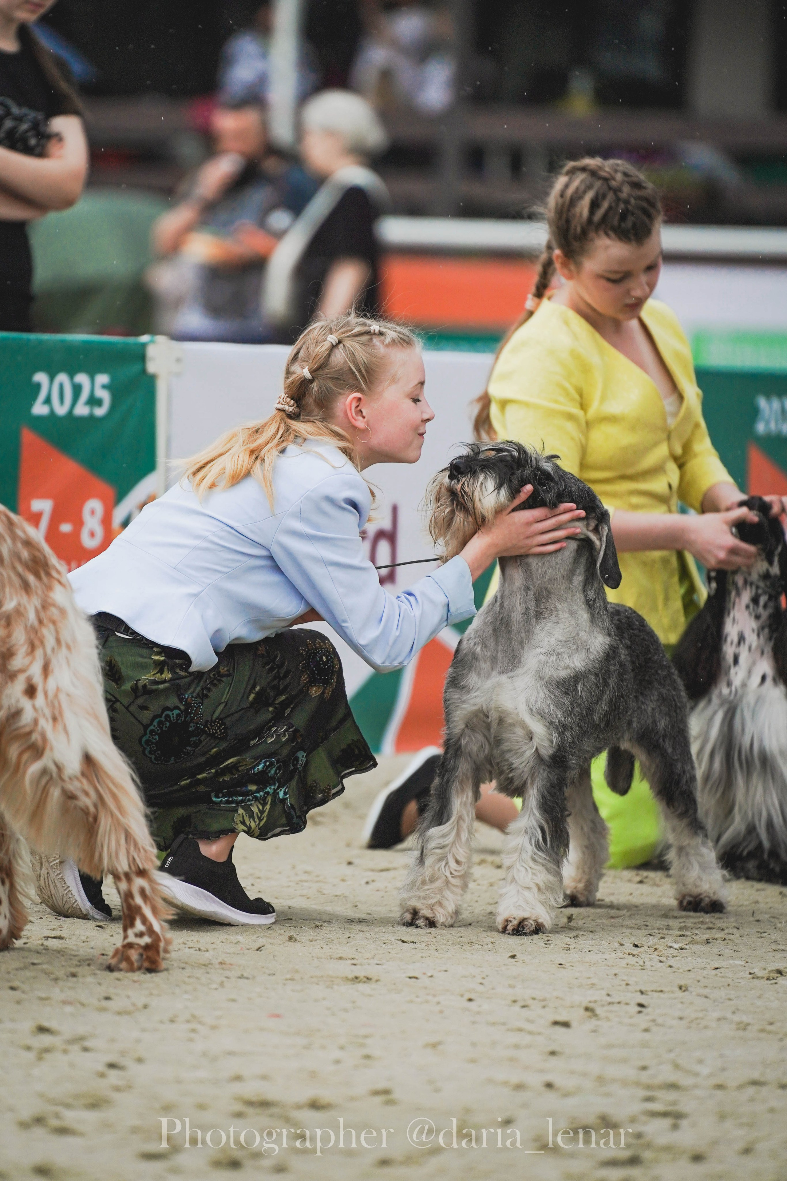 Выставки собак. Фотограф в Москве Ленарская Дарья