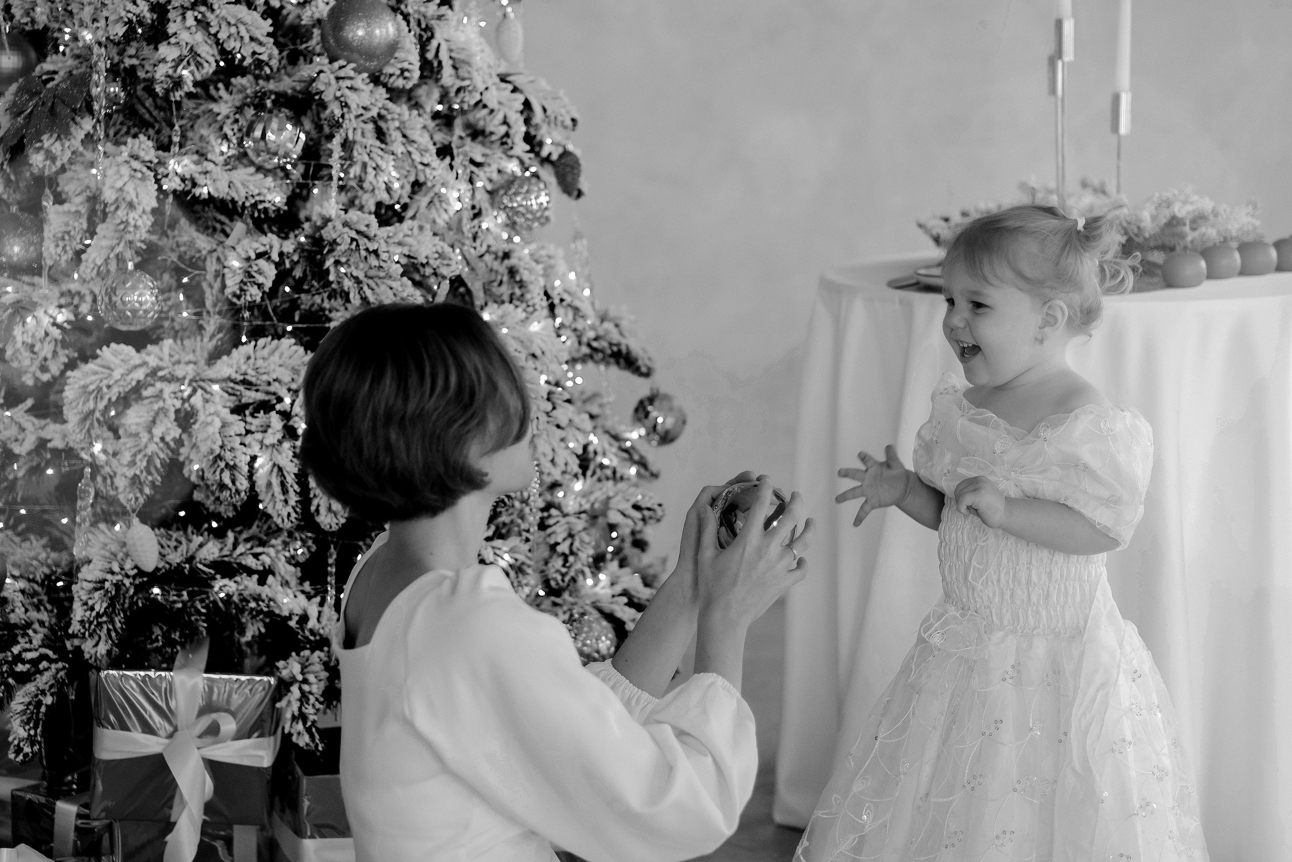 Новый год. Фотограф Москва, Смоленск