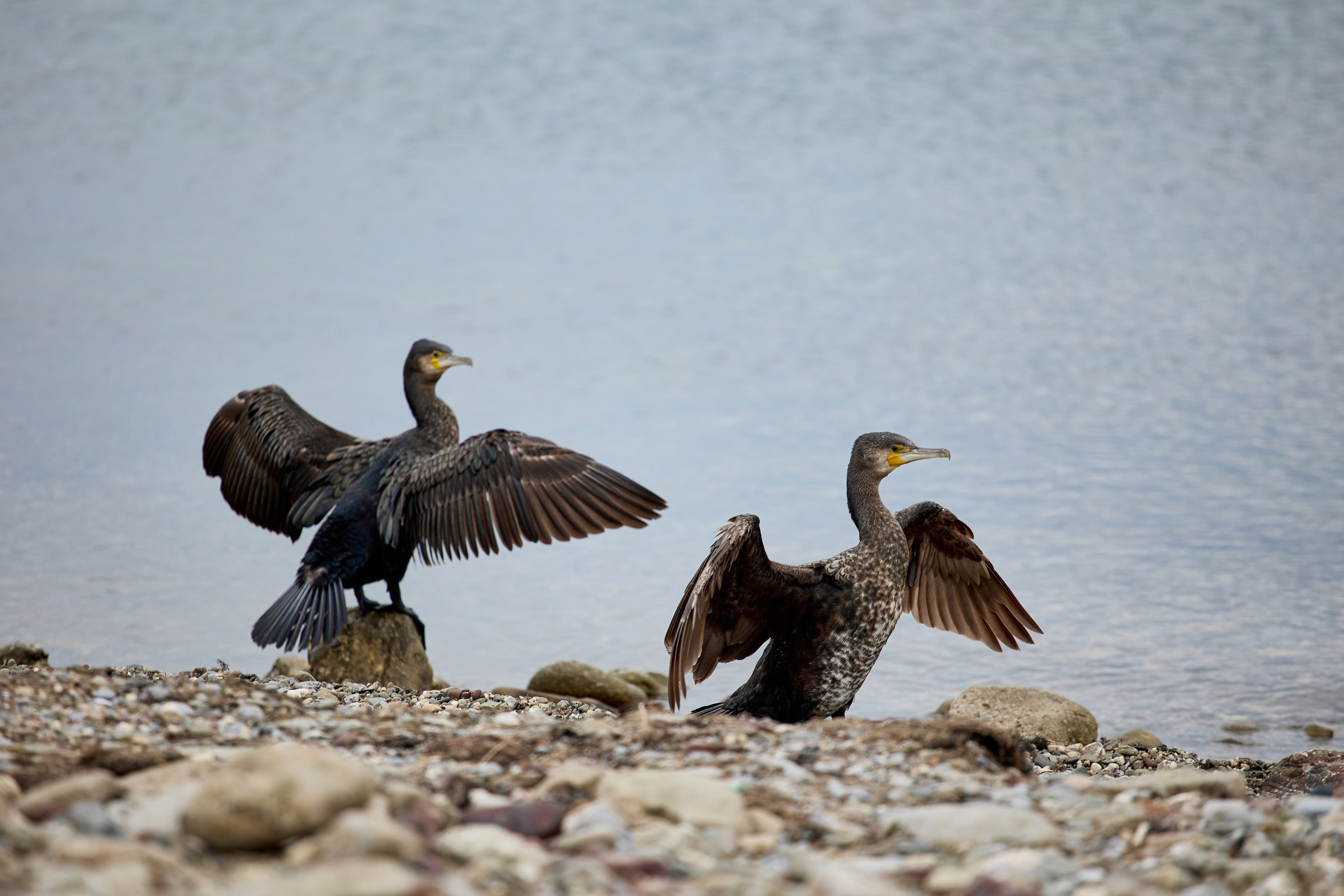 Крым. Хороший репортажный и промышленный фотограф в Казани Алексей Щелконогов