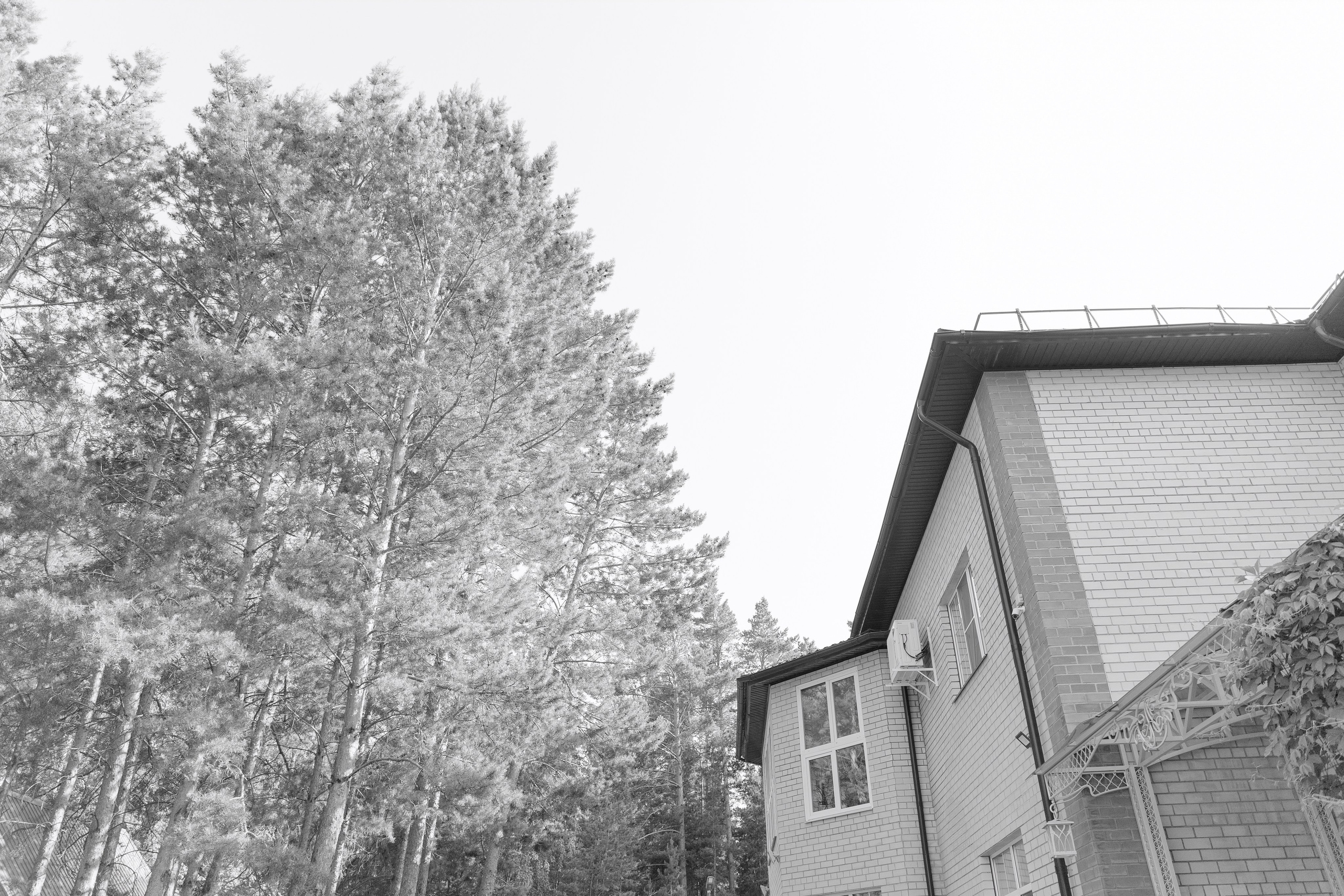 D&E WEDDING DAY. ФОТОГРАФ | ВИДЕОГРАФ | КУРГАН | ТЮМЕНЬ | ЕКБ Михаил Сутягин