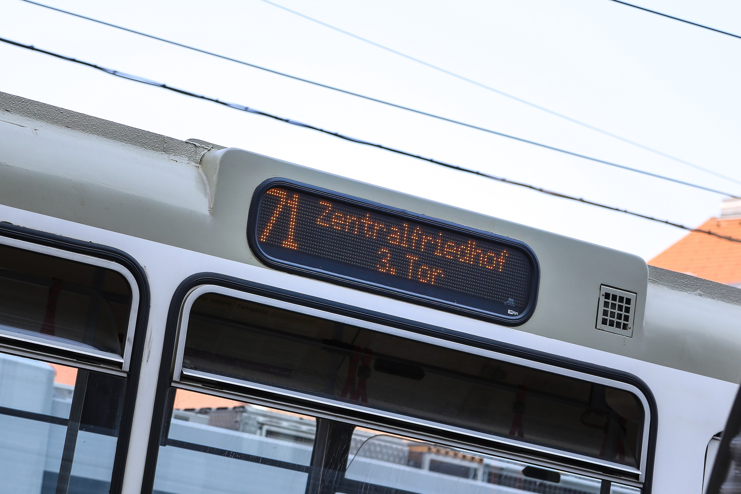 Австрия: Вена — Юденплатц и Центральной кладбище. Дарья Письменюк / Darya Leitstern — фотограф, музыкант, журналист, путешественник