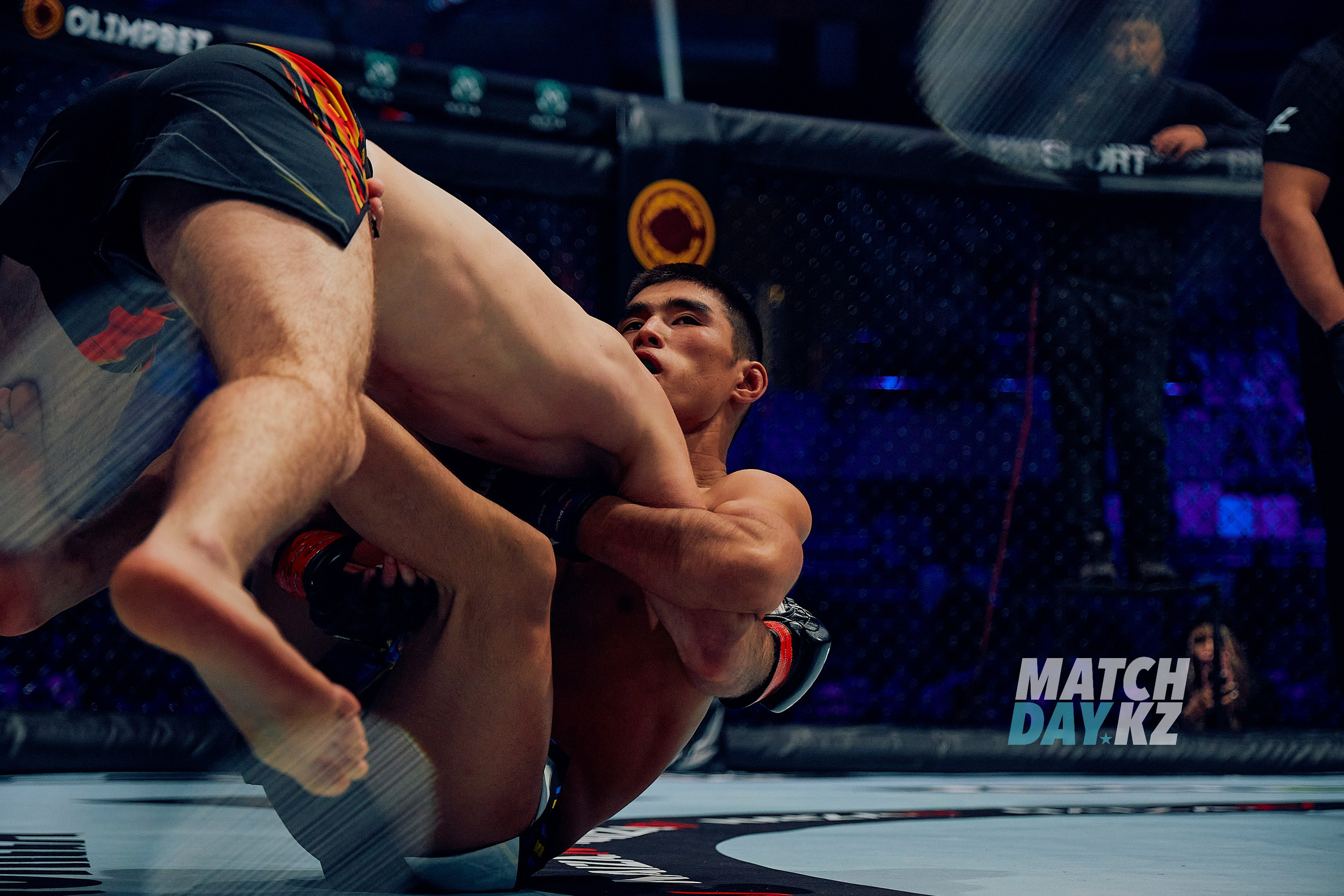 Naiza MMA (Astana) 6 December 2023. Professional photo & Event agency (Kazakhstan, Astana)