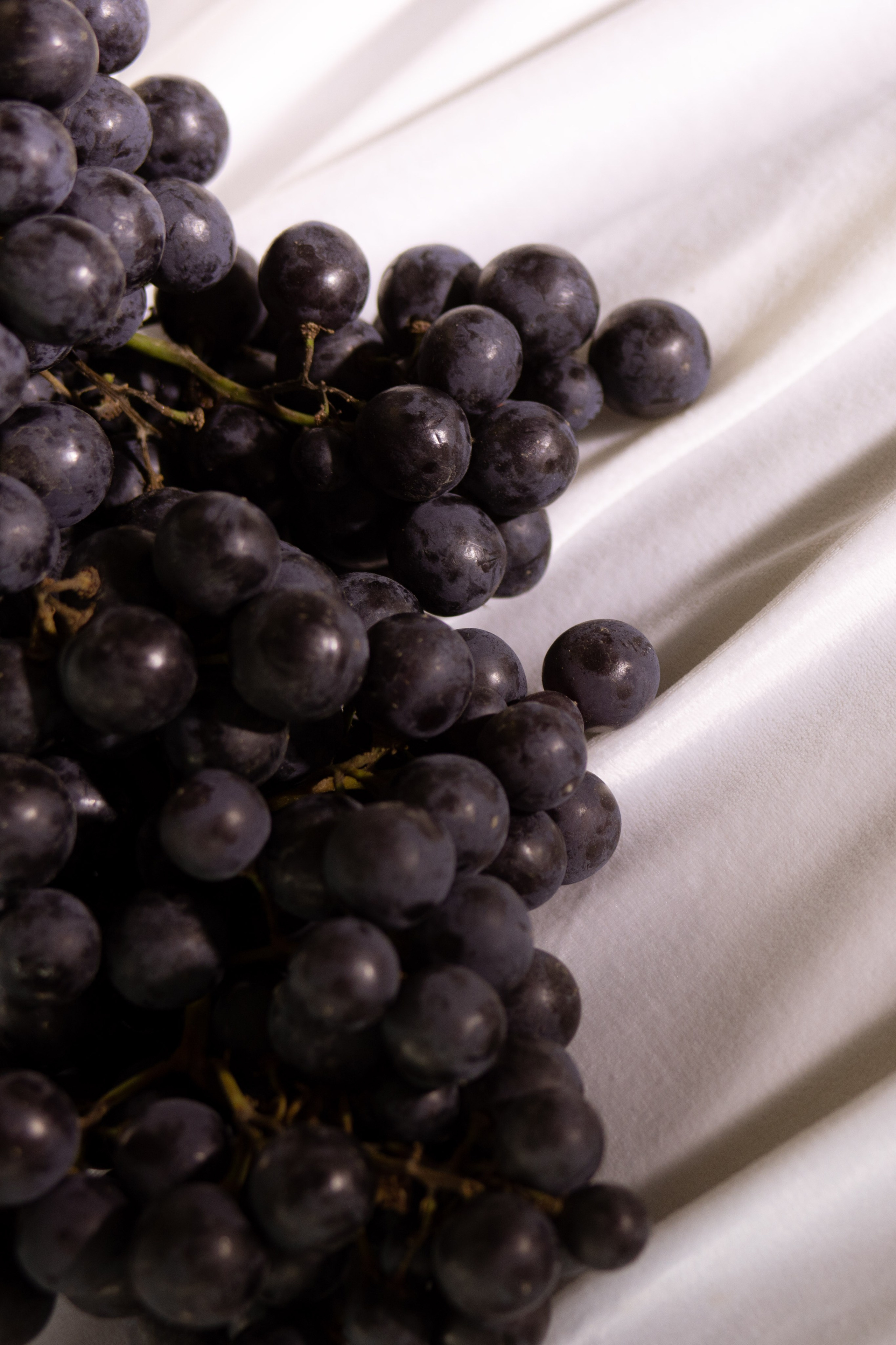 Алина & Андрей. Оформление свадеб, декор свадеб Вера Маркова, Москва