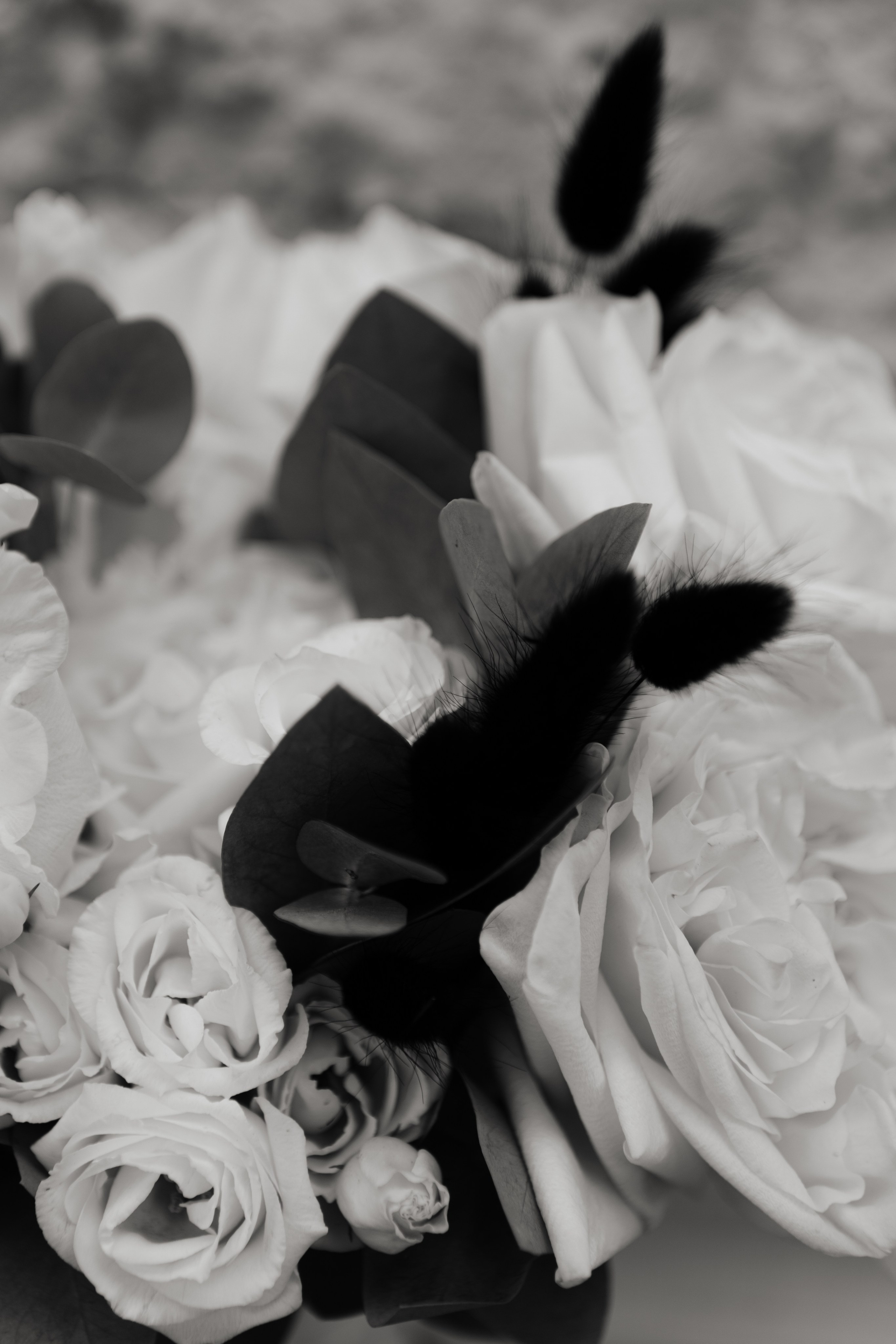 Свадьба Антона и Татьяны. Фотограф Кольчугино/Владимир/Москва Елизавета Иода