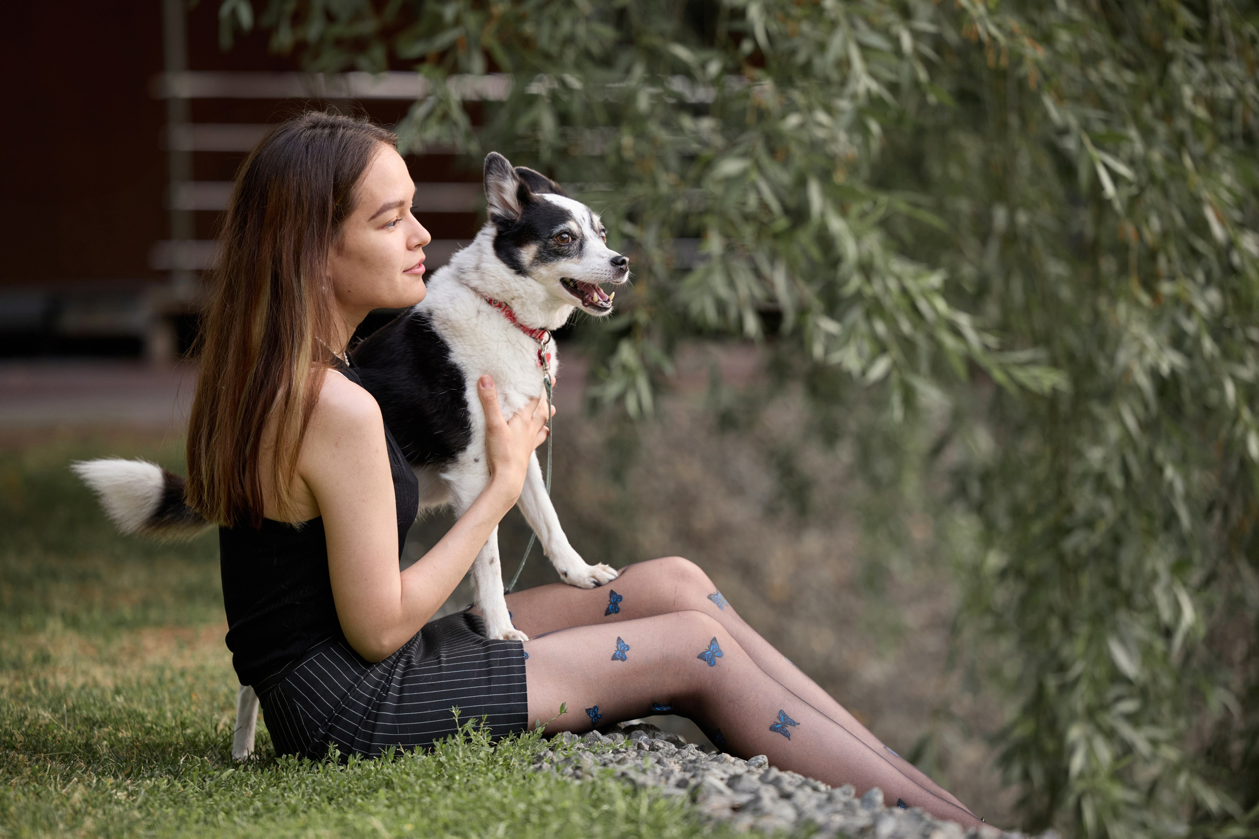 Диана и Рея. Фотограф анималист в Казани Алина Сулейманова. Фотограф животных