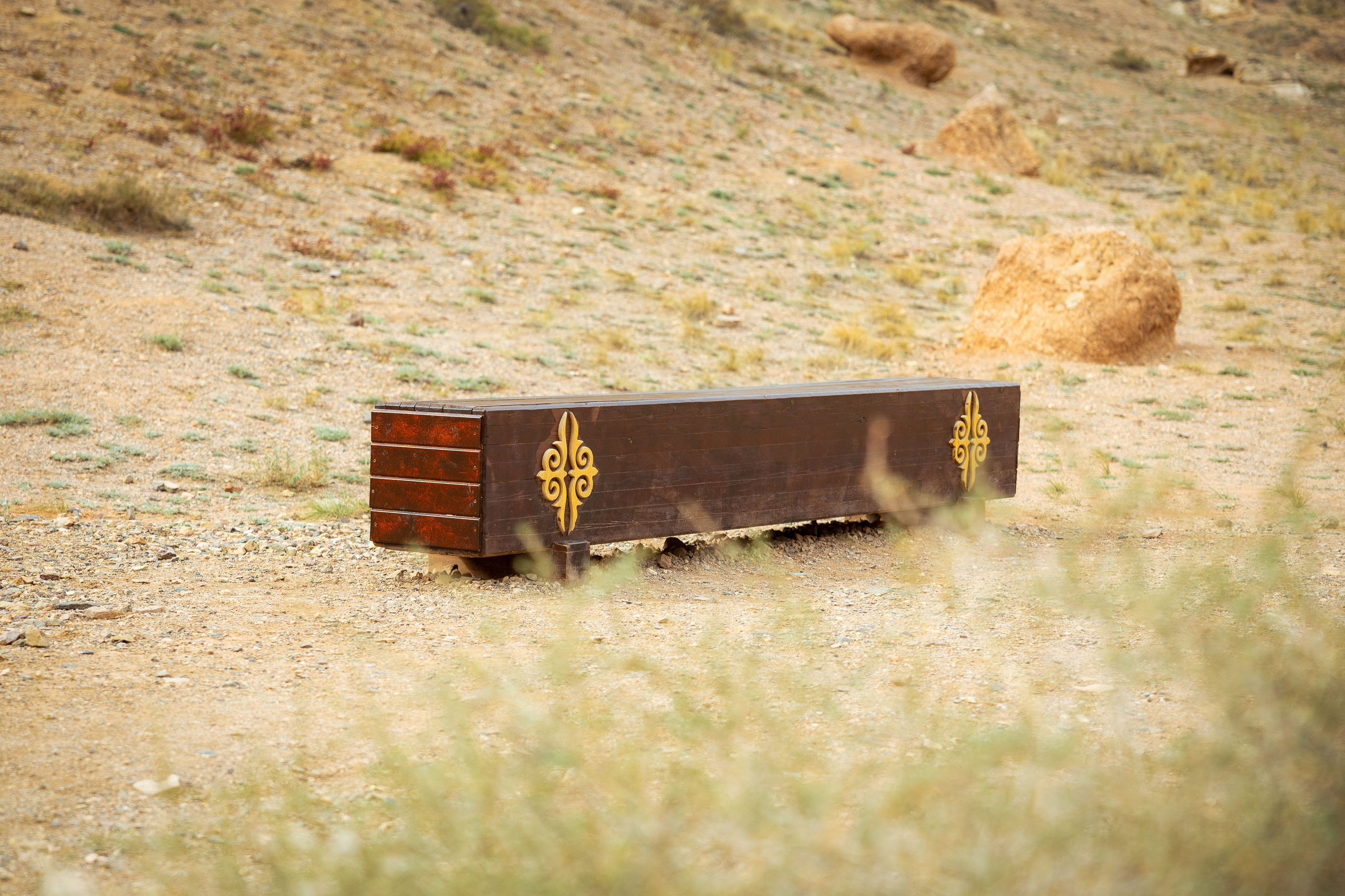 Казахстан (осень 2024). Фотограф Виноградов Константин