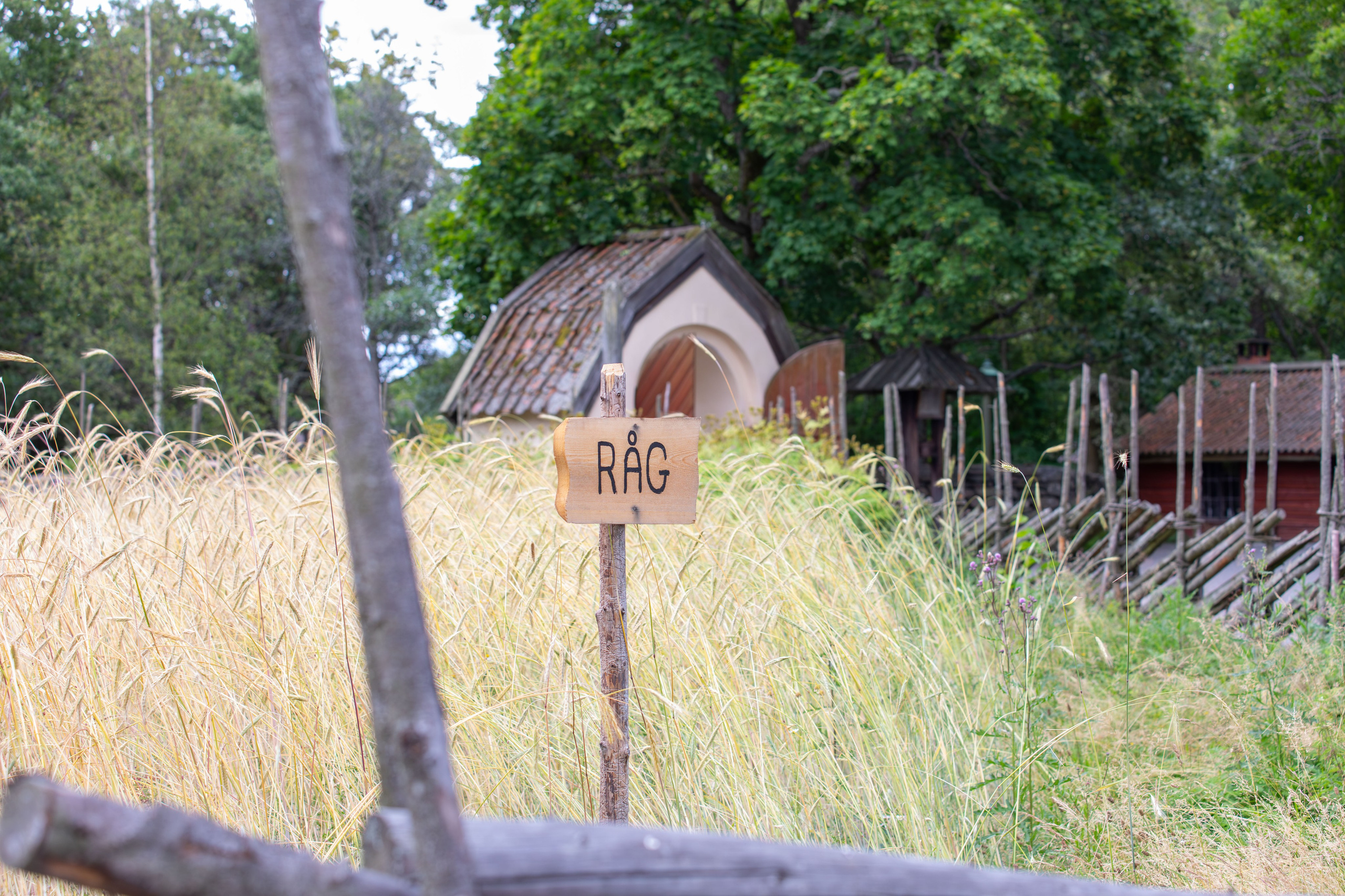 Sweden, Skansen. Воройская Анна