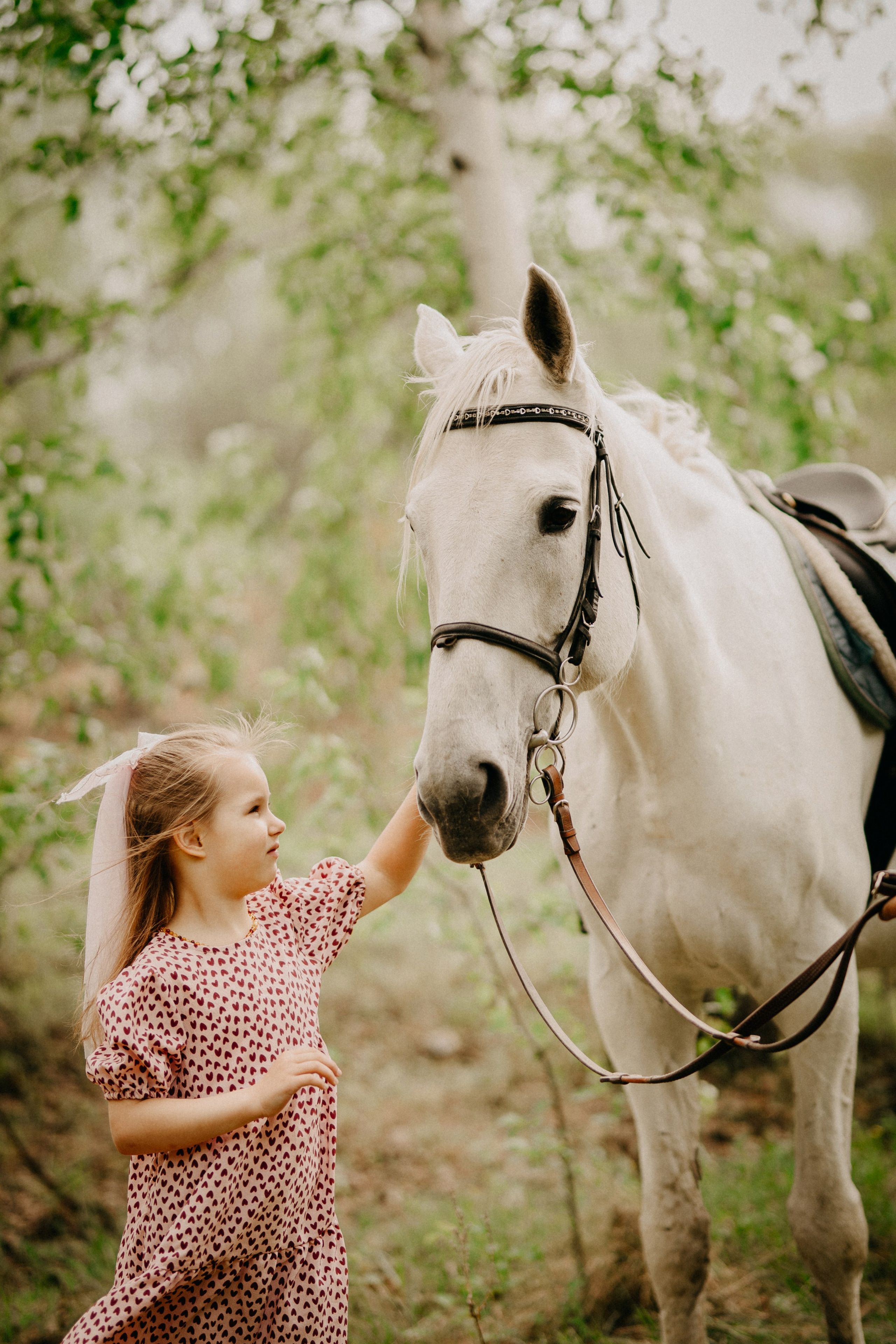 С лошадьми. Главная