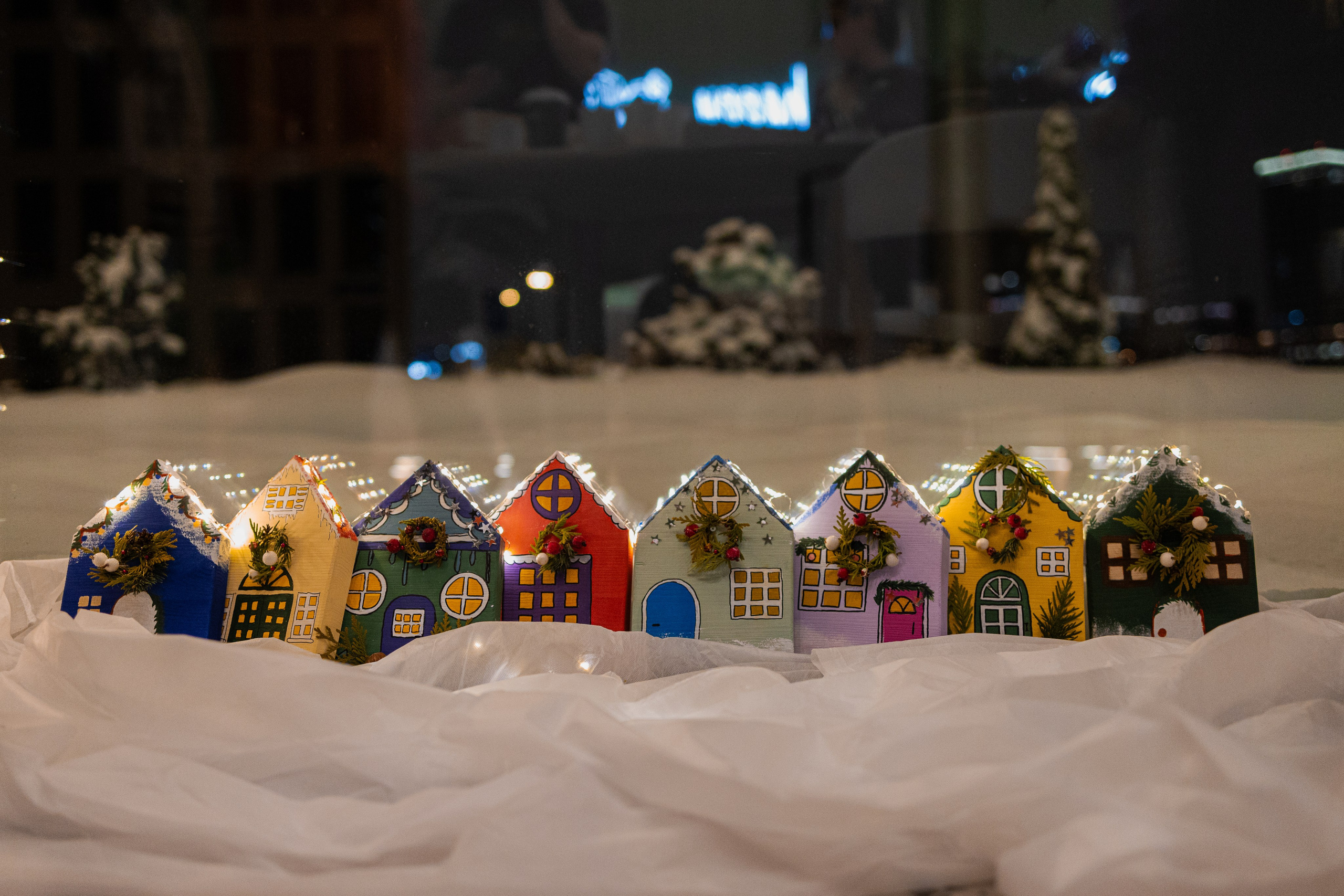 МК Домики. Анастасия Ракчеева Художник