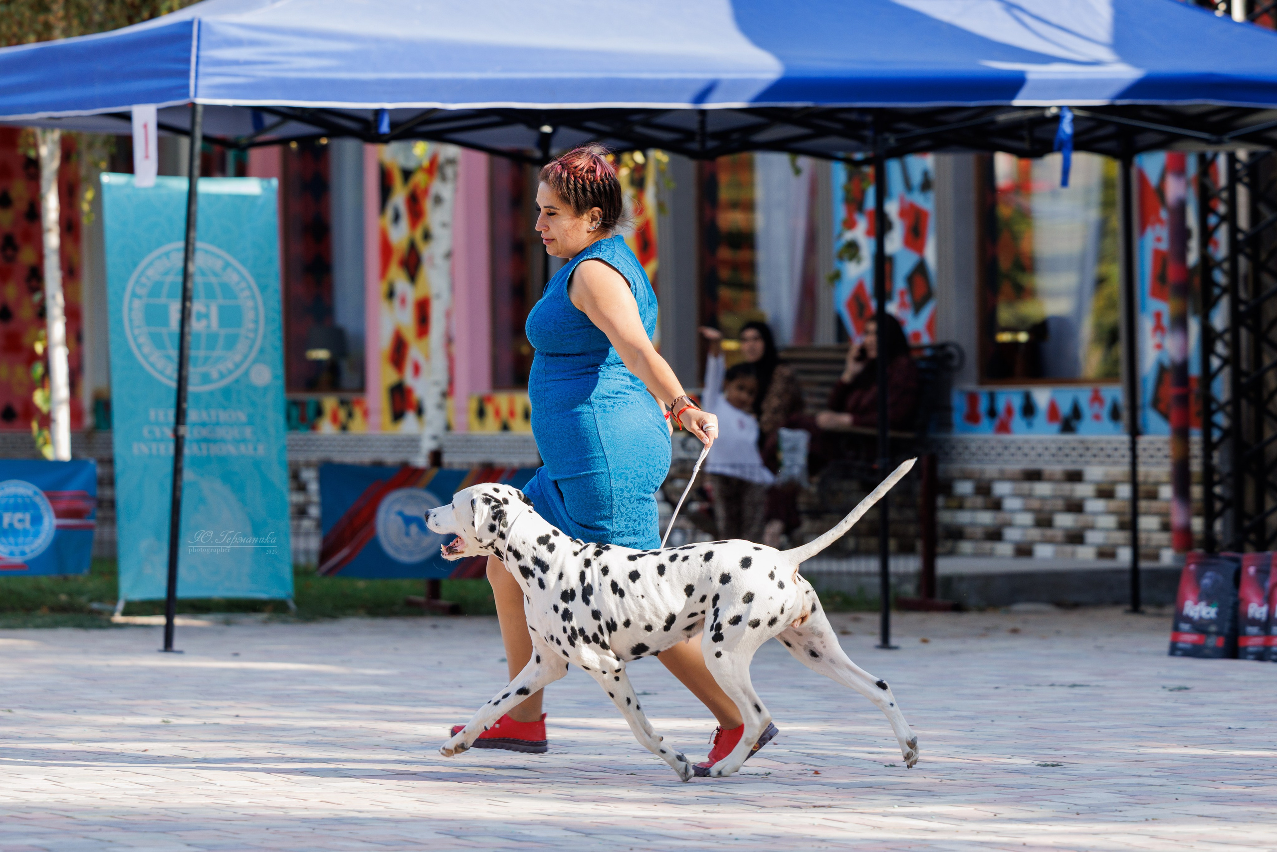 Ташкент 3хCACIB 3-5.10.2025. Фотограф-анималист Юлия Германика