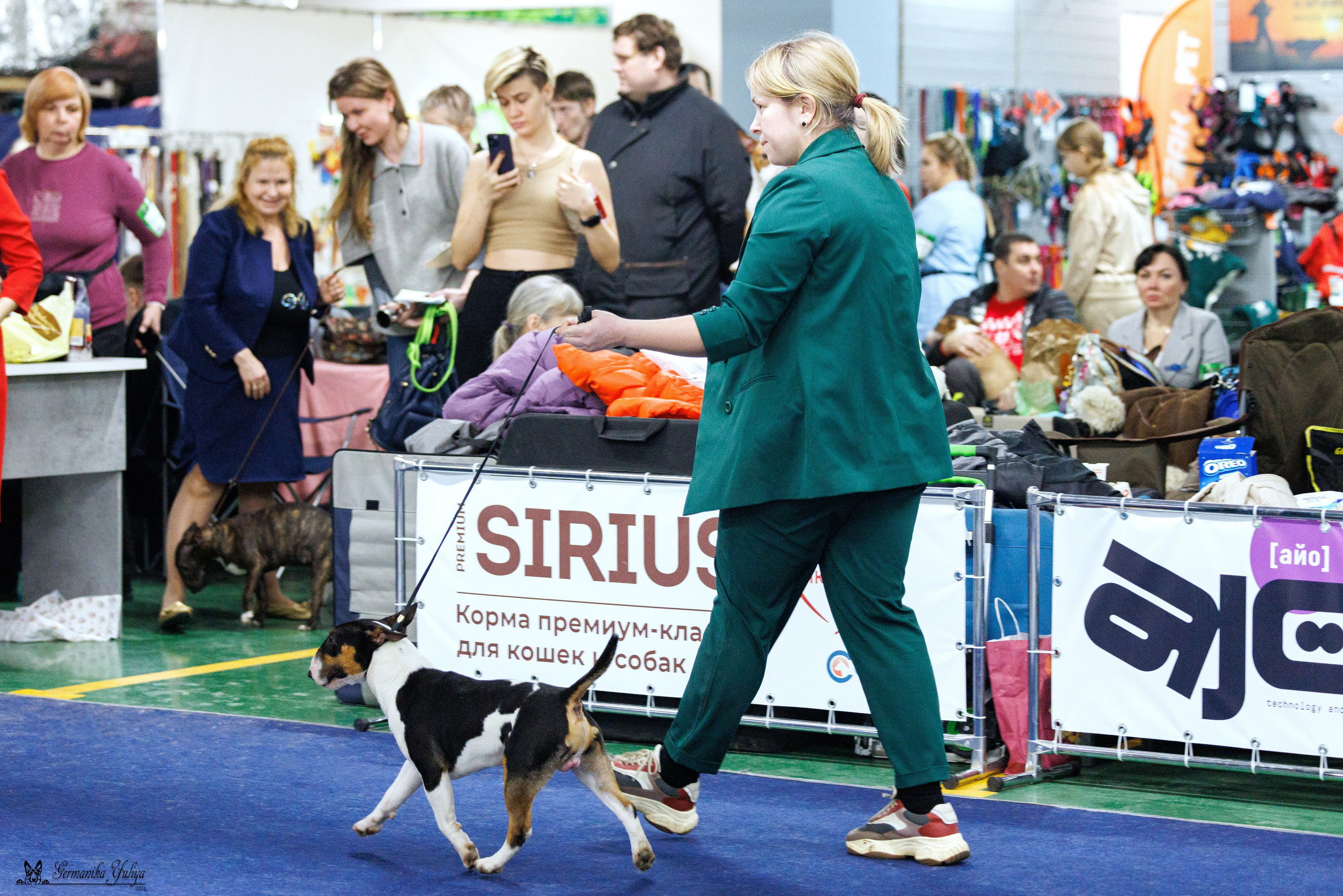 Сфера 28.01. и 4.02.2024. Фотограф-анималист Юлия Германика