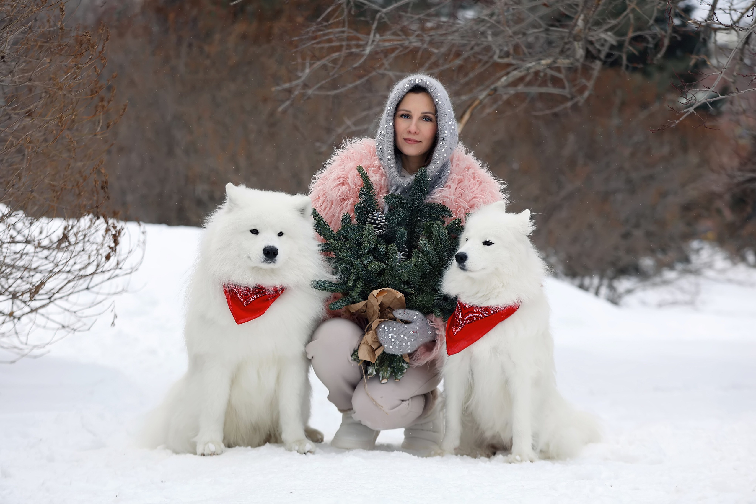 Юлия Квиткина фотограф. Самоед Новосибирск