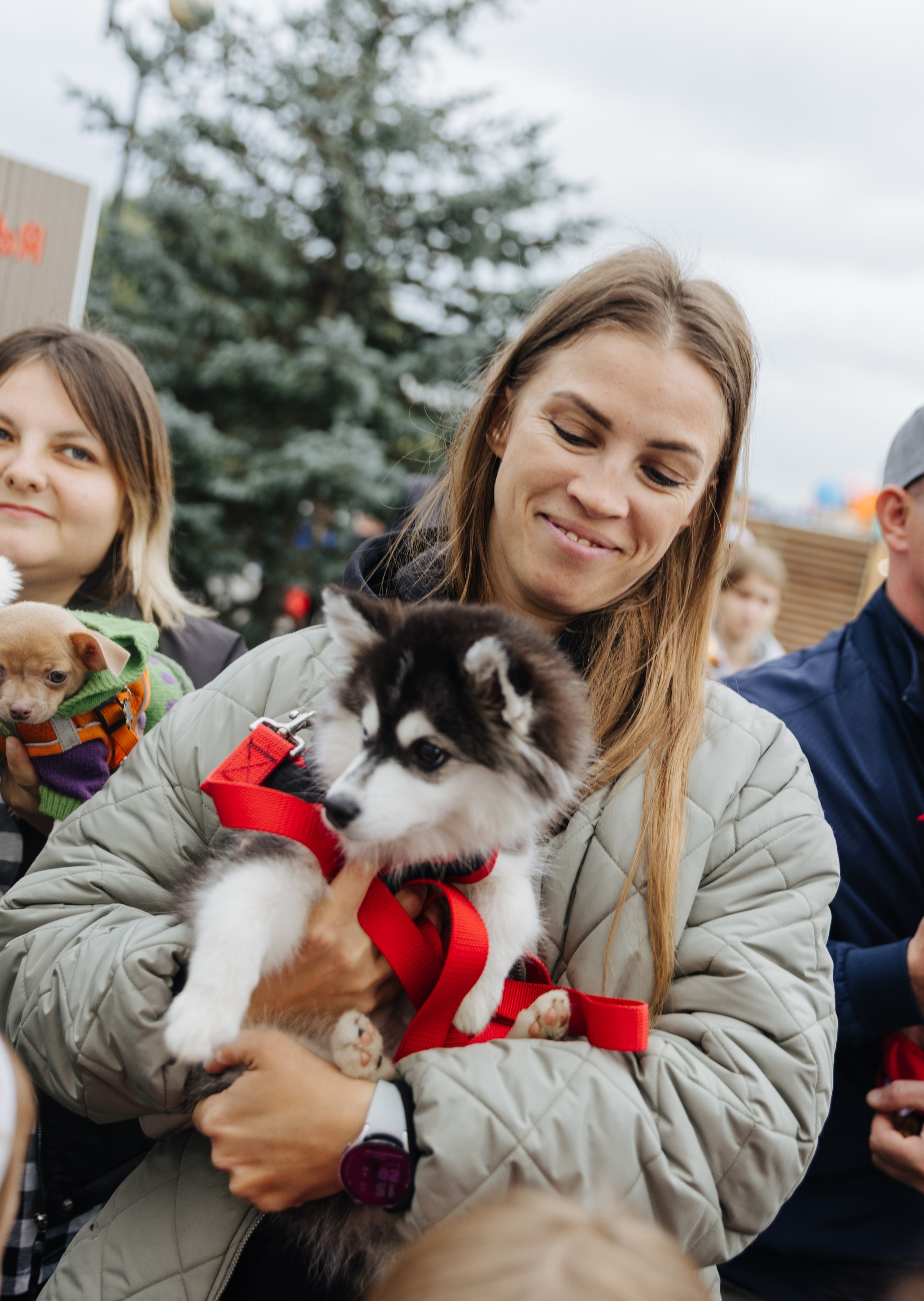 Хвостатый репортаж. Аксана Лисовская фотограф в Москве. Фотографии с характером