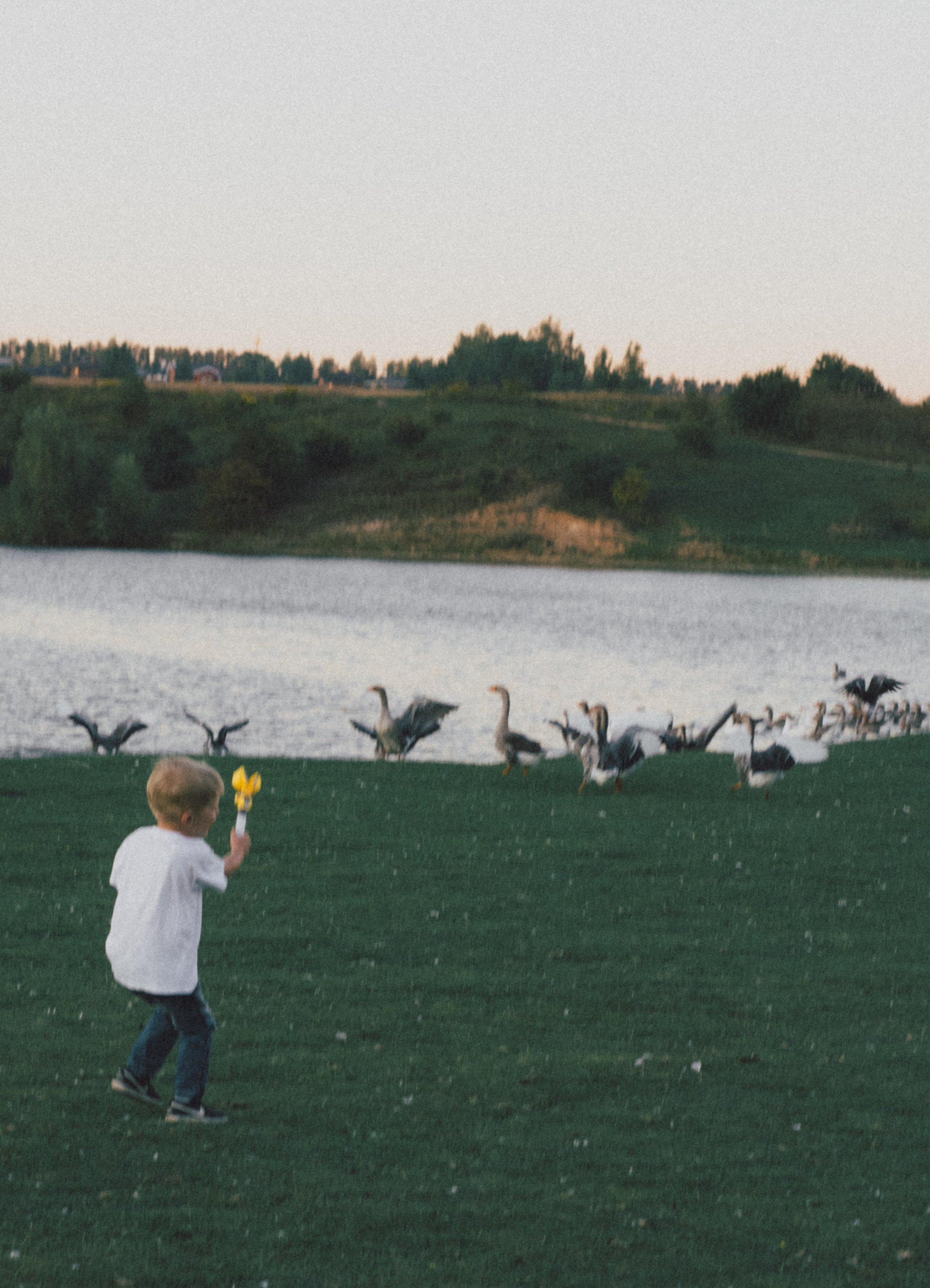 Семейная. Фотограф Бойко Антонина