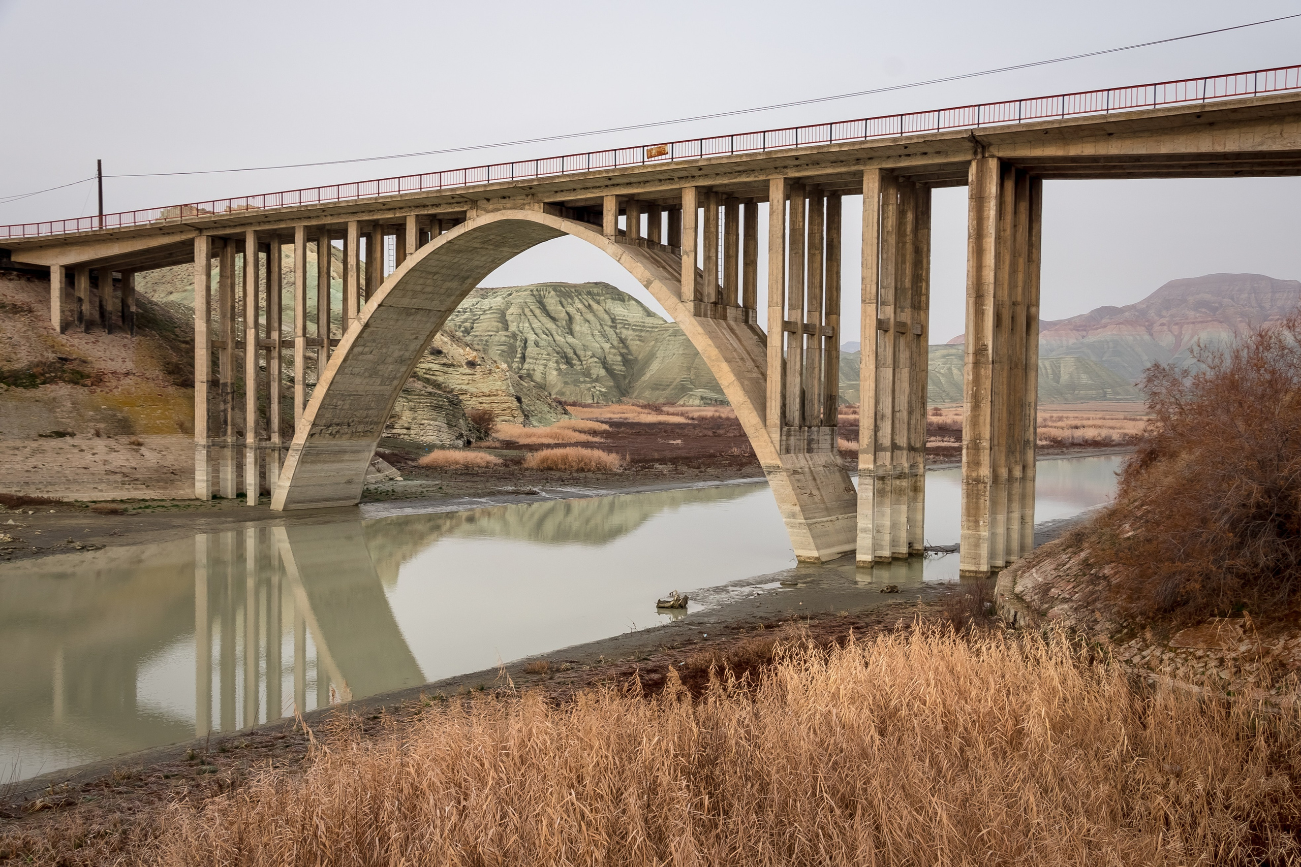 Турция, Птичий заповедник Наллихан. Юля Дэй • Фотограф, Санкт-Петербург