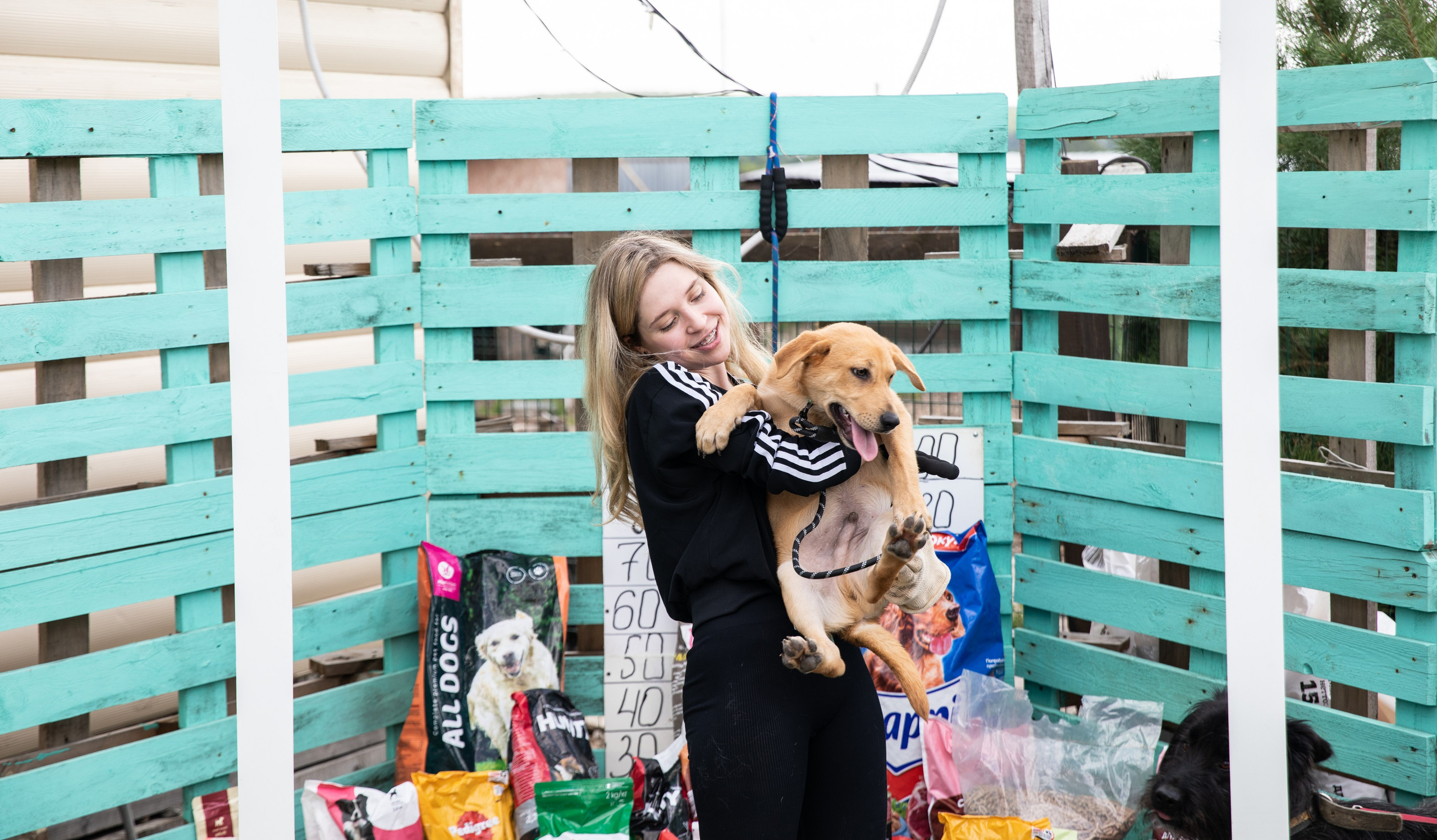 Приют — Наш дом. Репортажный и свадебный фотограф в Челябинске Елисеев Павел