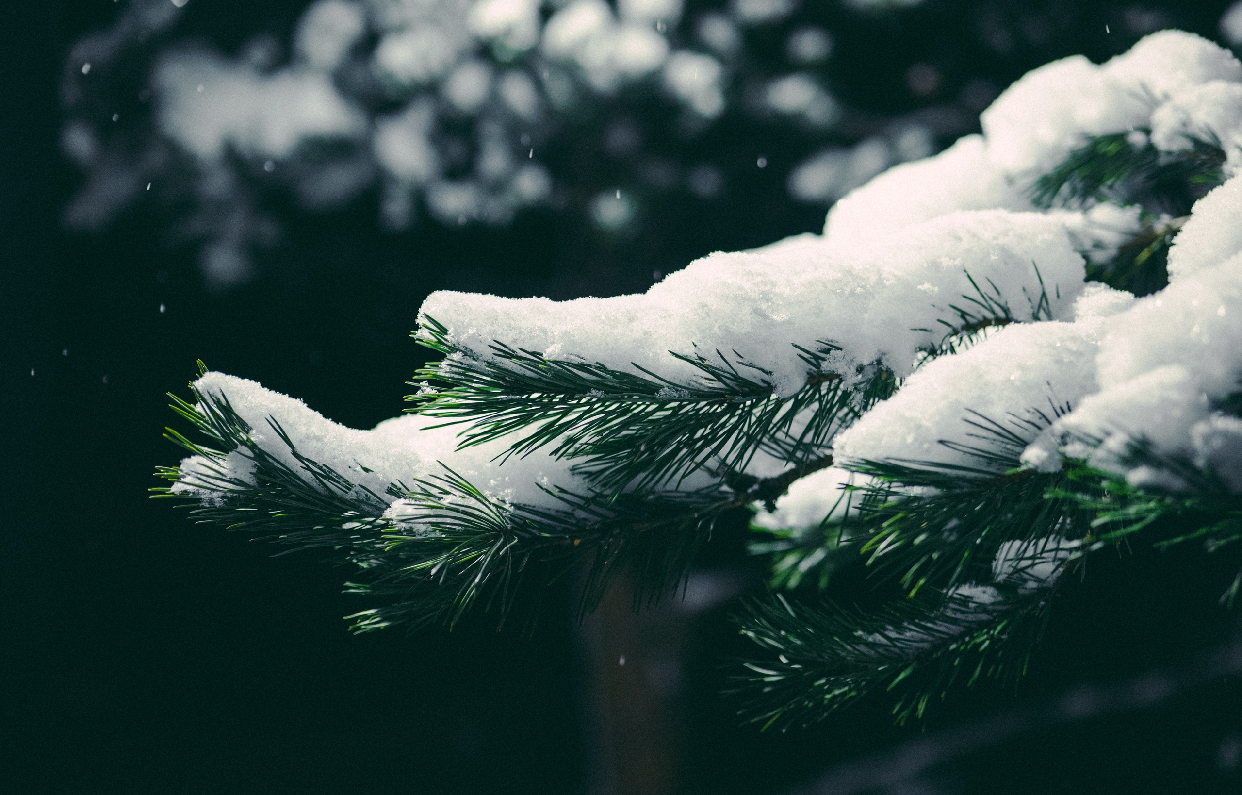 КАРЕЛИЯ / ЗИМА. Создание контента | Фото | Видеосъемка | Александр Ярков