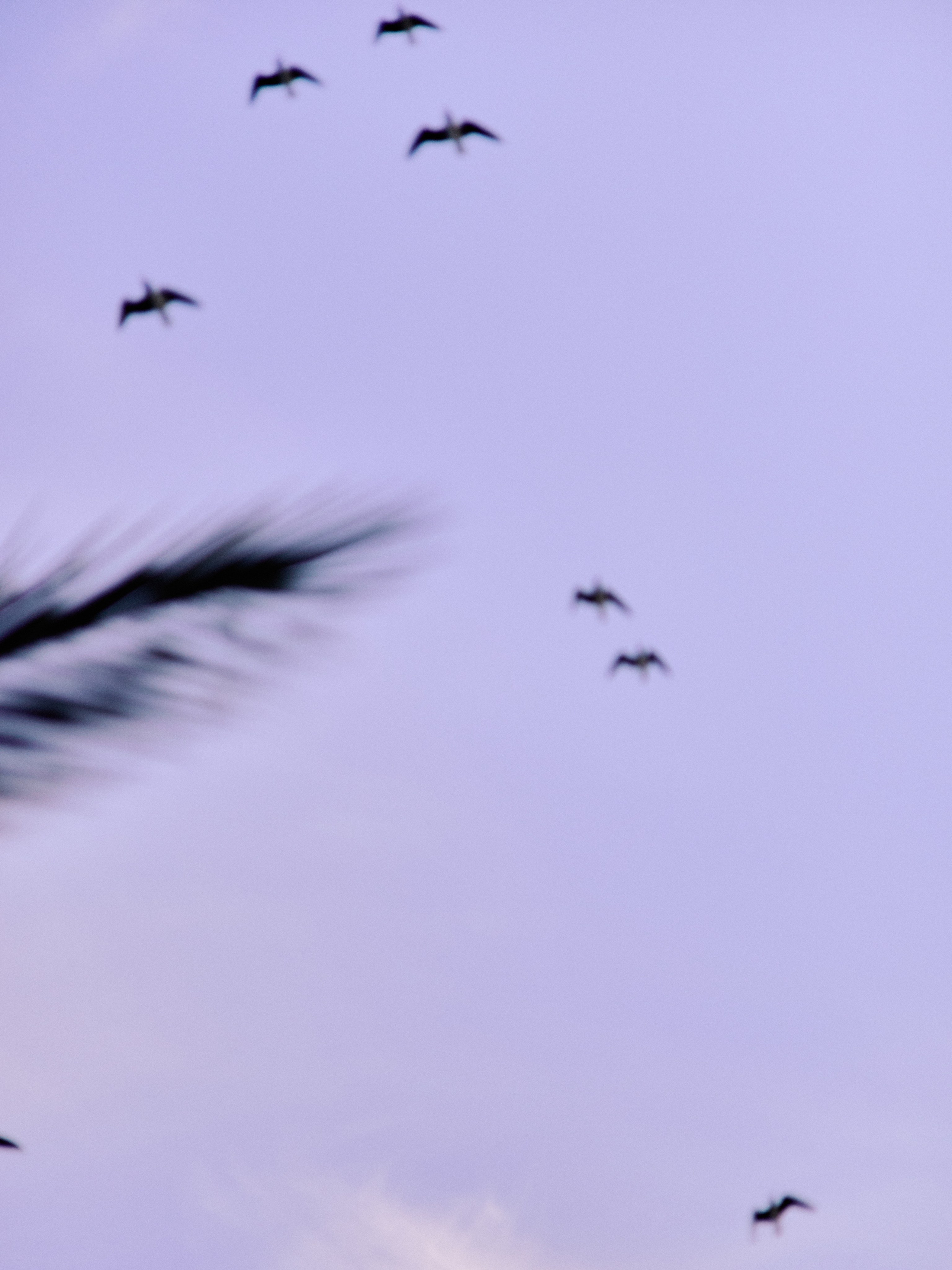 Другое 2. Jorgis Talè — photographer, kind person, teacher of arts and other mag