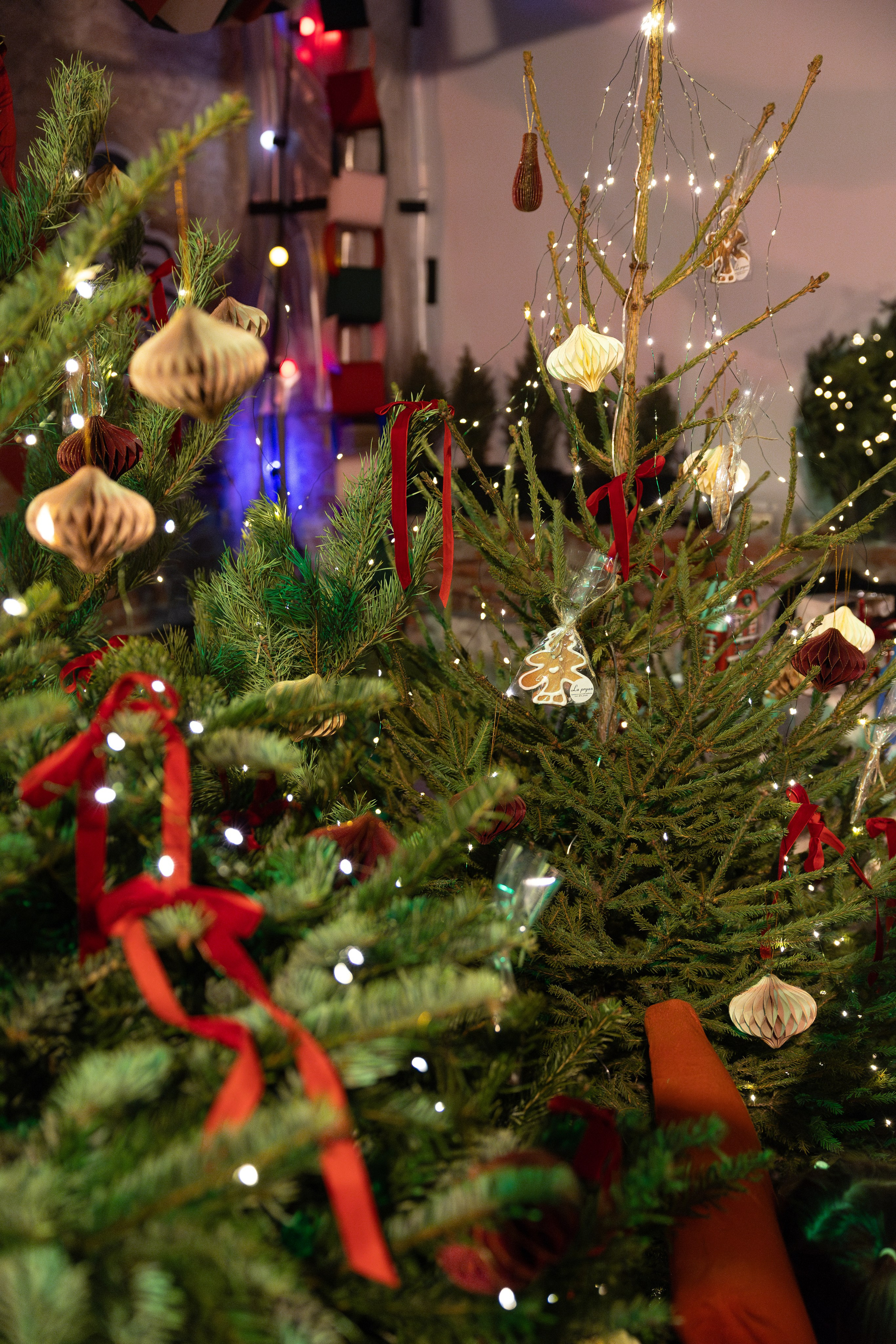 22 декабря 2024 в Типографии Сытина / фото Саша Жукова. Фотоотчеты «Ламбада-маркета»