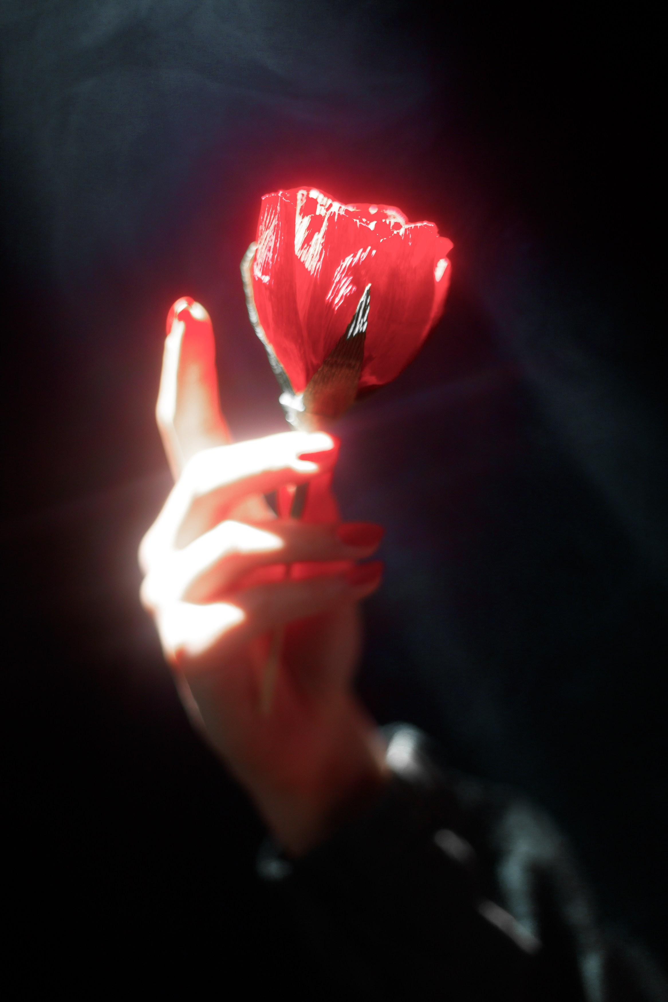 Маленький принц. Фотограф Алекс Май