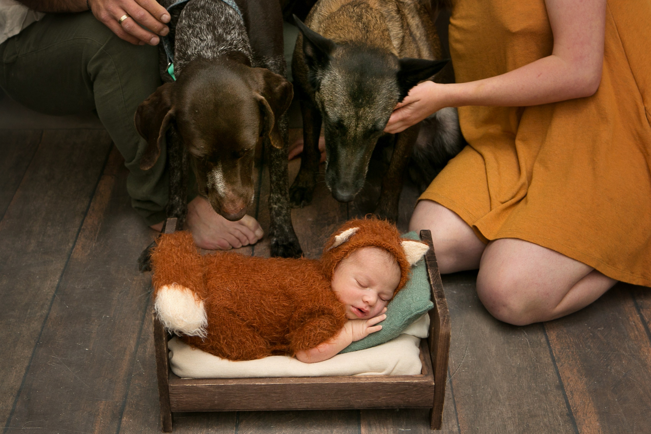 Фотосессия Newborn. Семейный, детский, newborn фотограф Москва,Московская обл Алла Риэр
