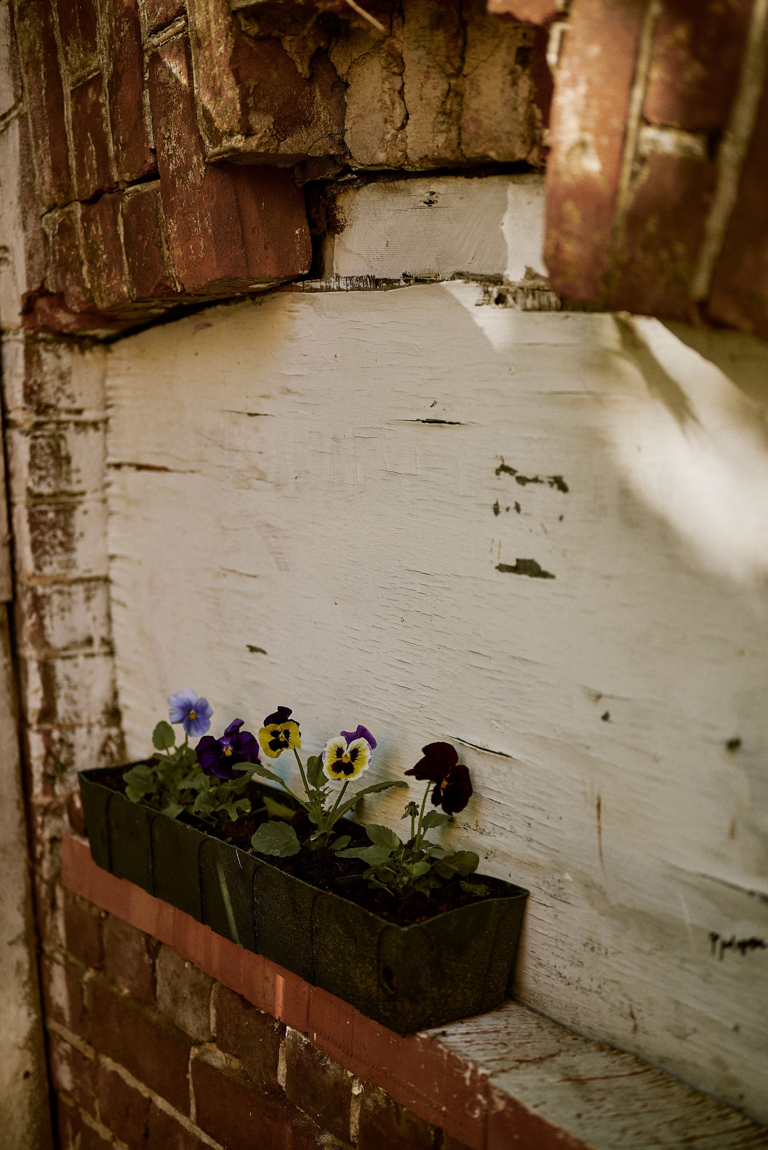 Даша и Буся. Фотограф Екатерина Строганова