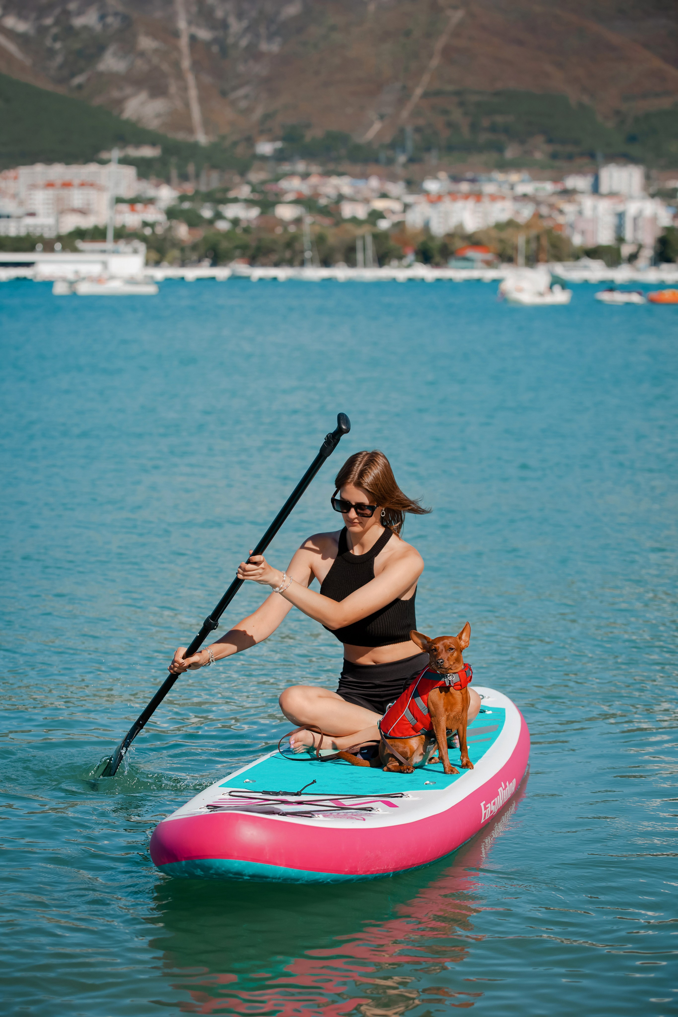 Цвергпинчер в Геленджике. Фотограф-анималист в Краснодаре Маша Мельникова