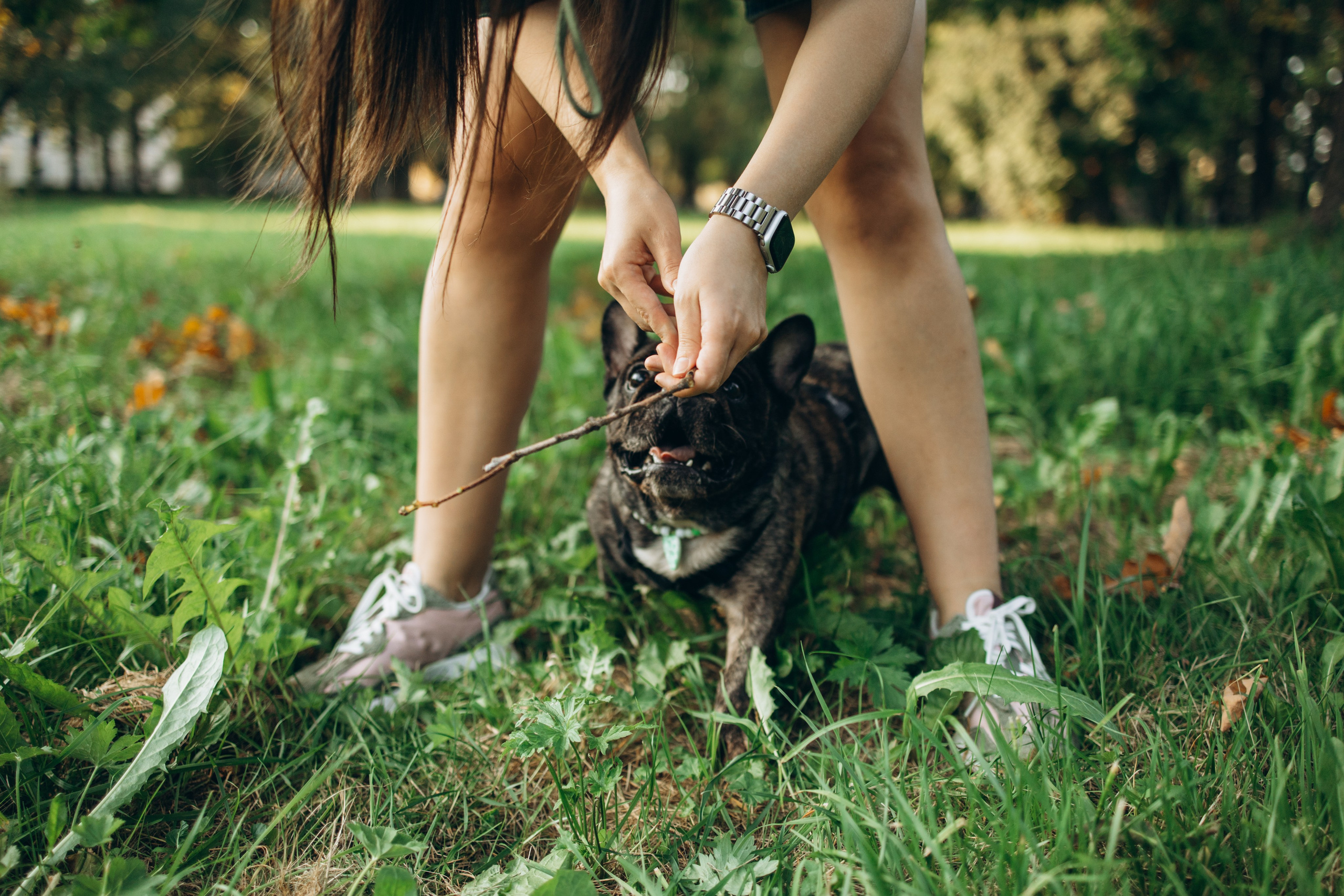 Олеся и Луи. Фотограф — Анималист | Санкт-Петербург