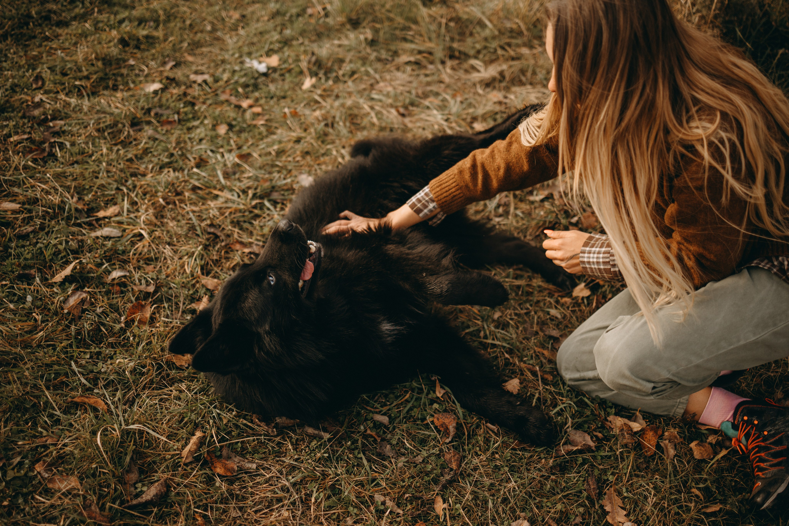 Лора и Джанго. Фотограф — Анималист | Санкт-Петербург