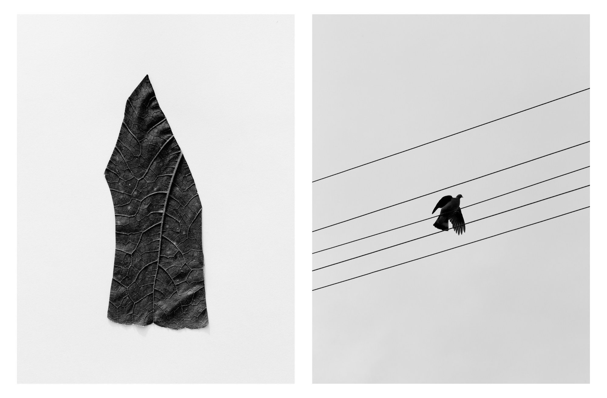 Спектакль. Фотографии Саши Любина