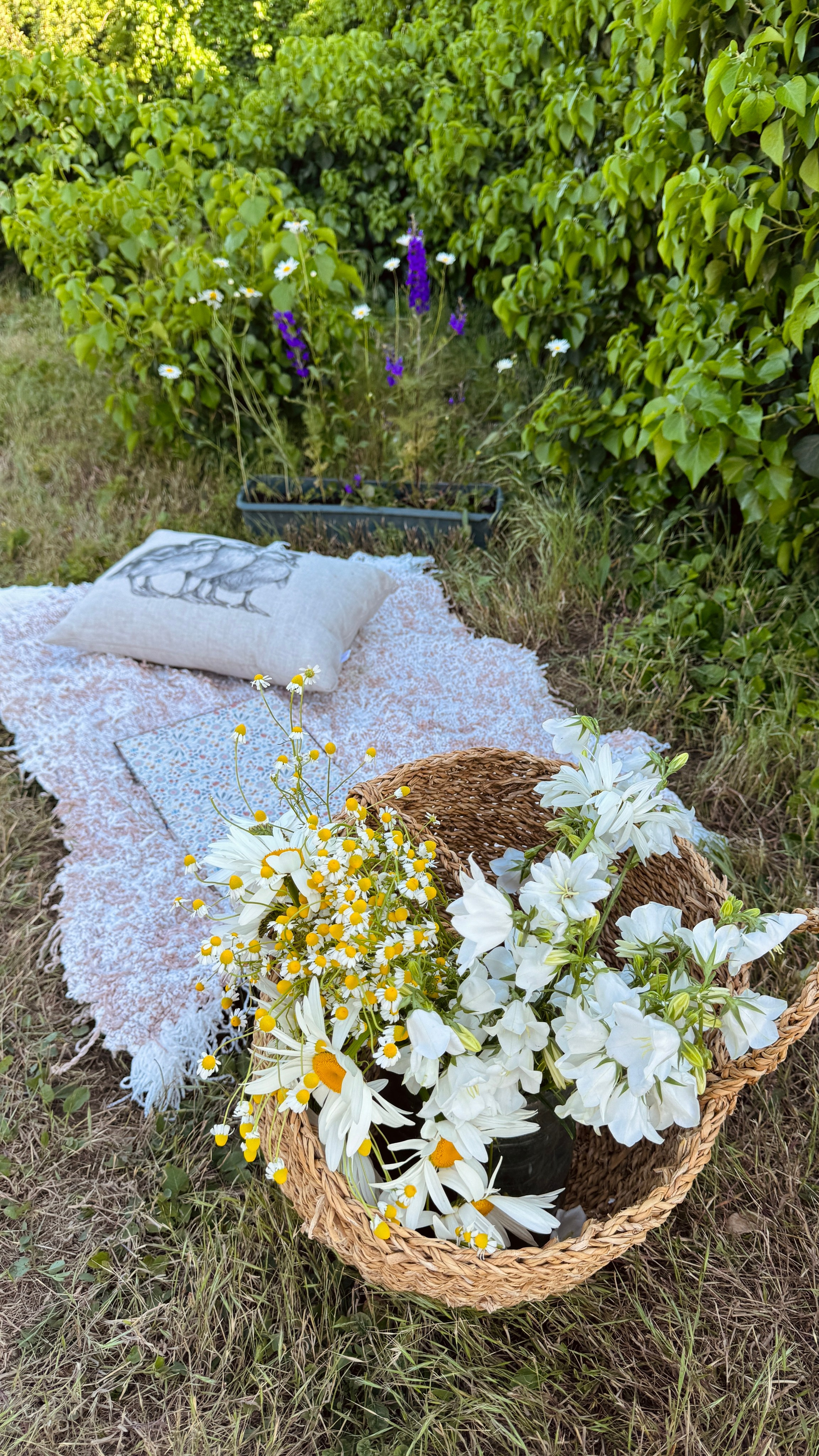 Пикники. Фотостудия Натальи Забродской