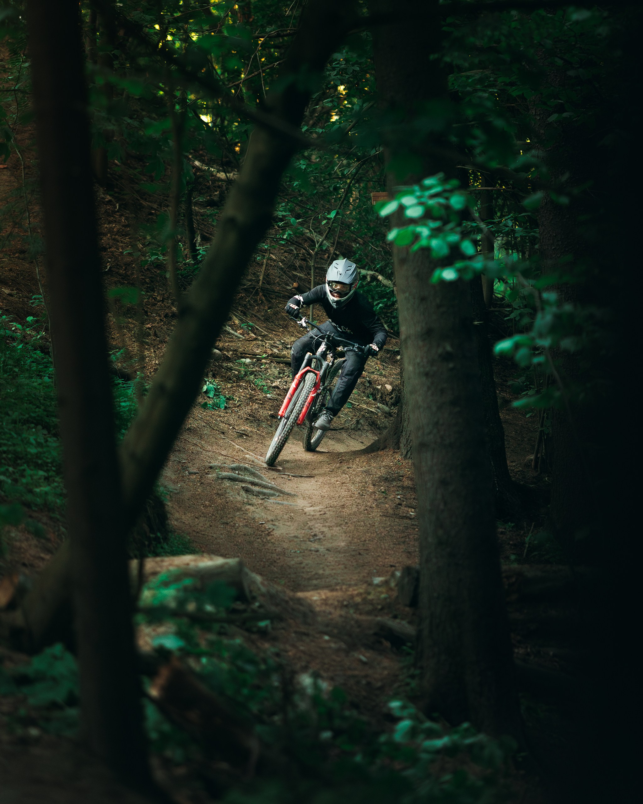 Саша и Ваня. Фотограф анималист Никита Натальный