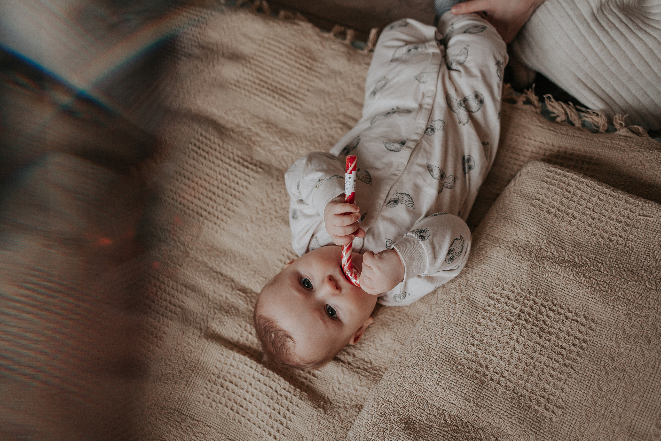 Новогодняя. Фотограф Ольга Сапронова. Свадебный фотограф Ольга Сапронова