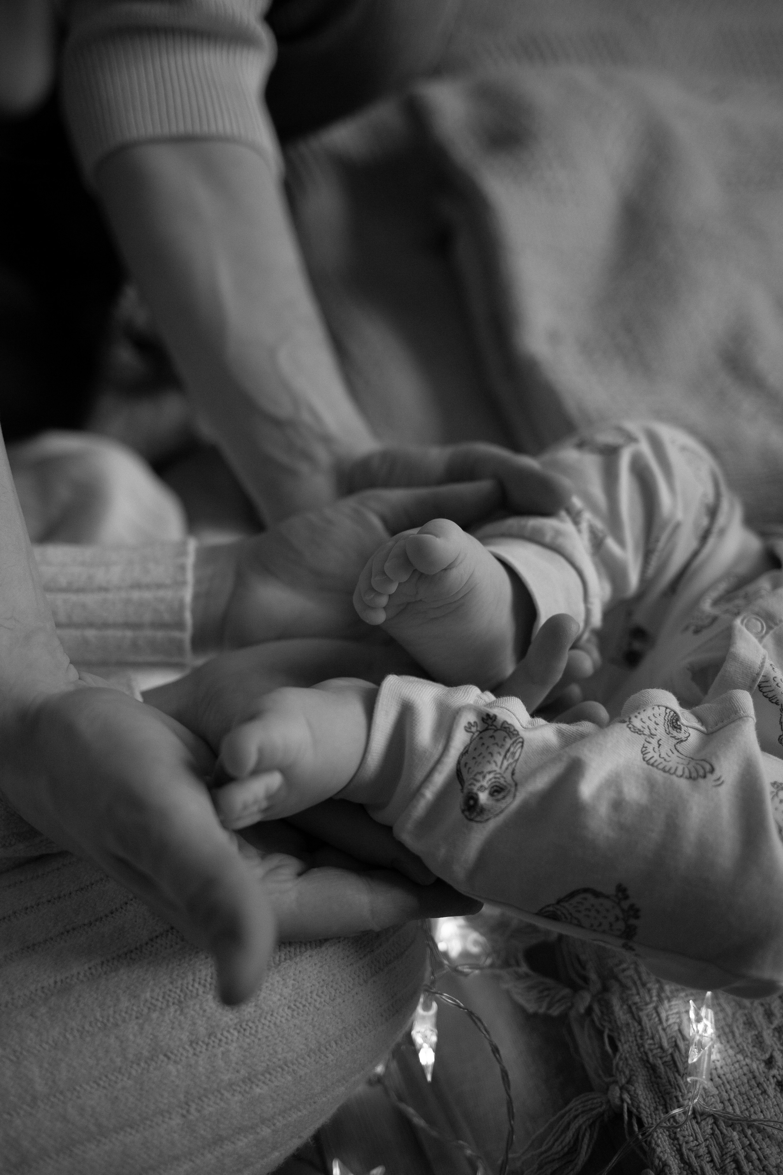 Новогодняя. Фотограф Ольга Сапронова. Свадебный фотограф Ольга Сапронова